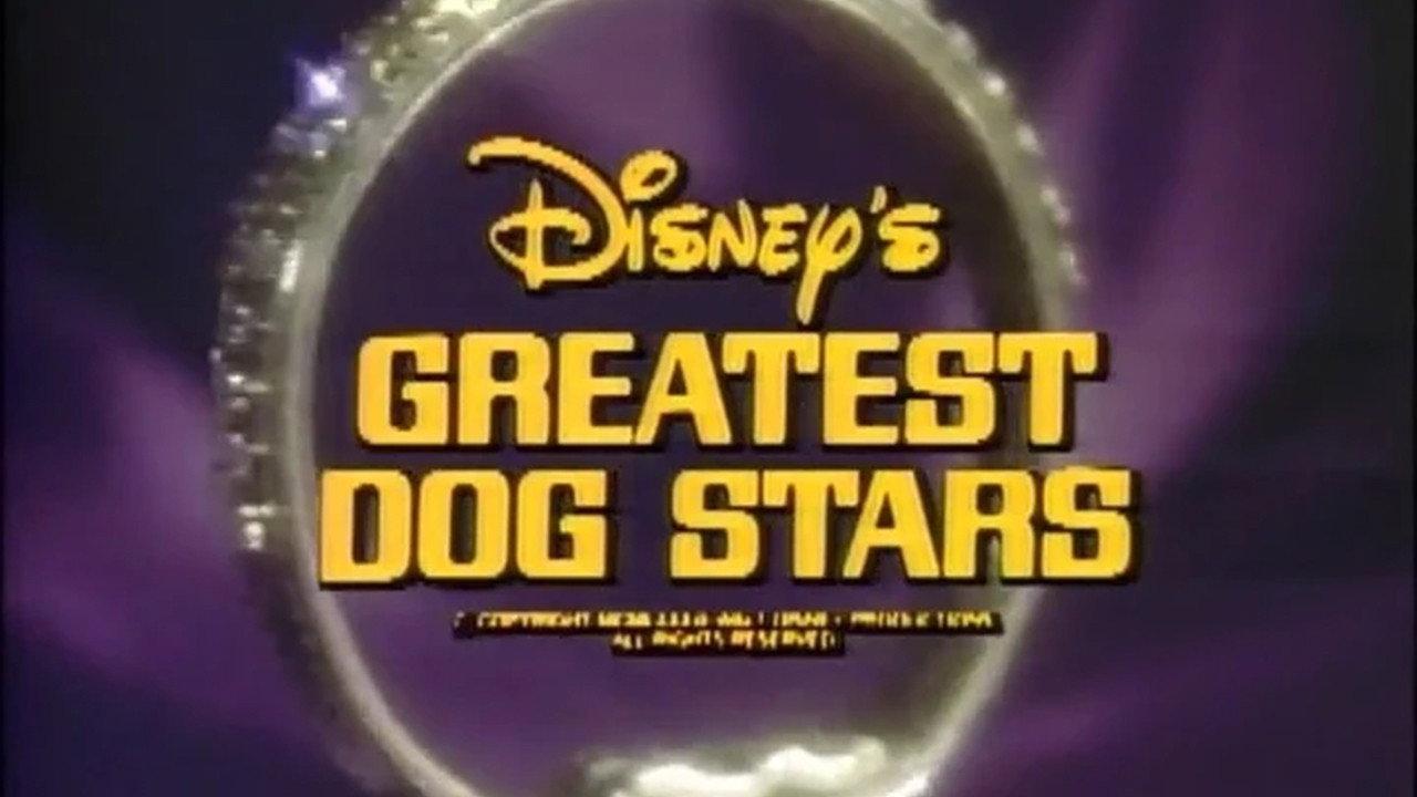 Disney's Greatest Dog Stars 1976 movie scene