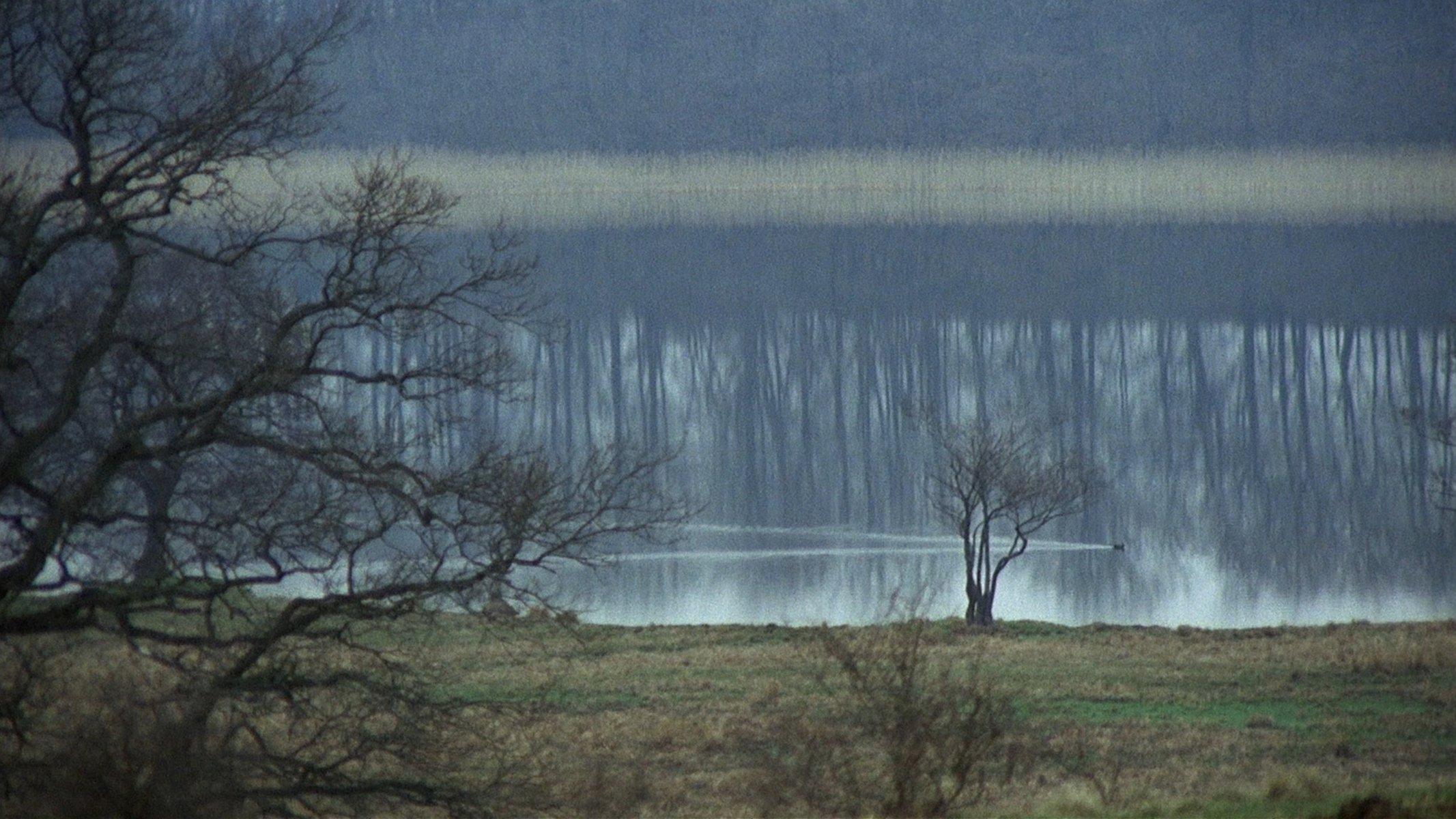The New Land 1972 movie scene
