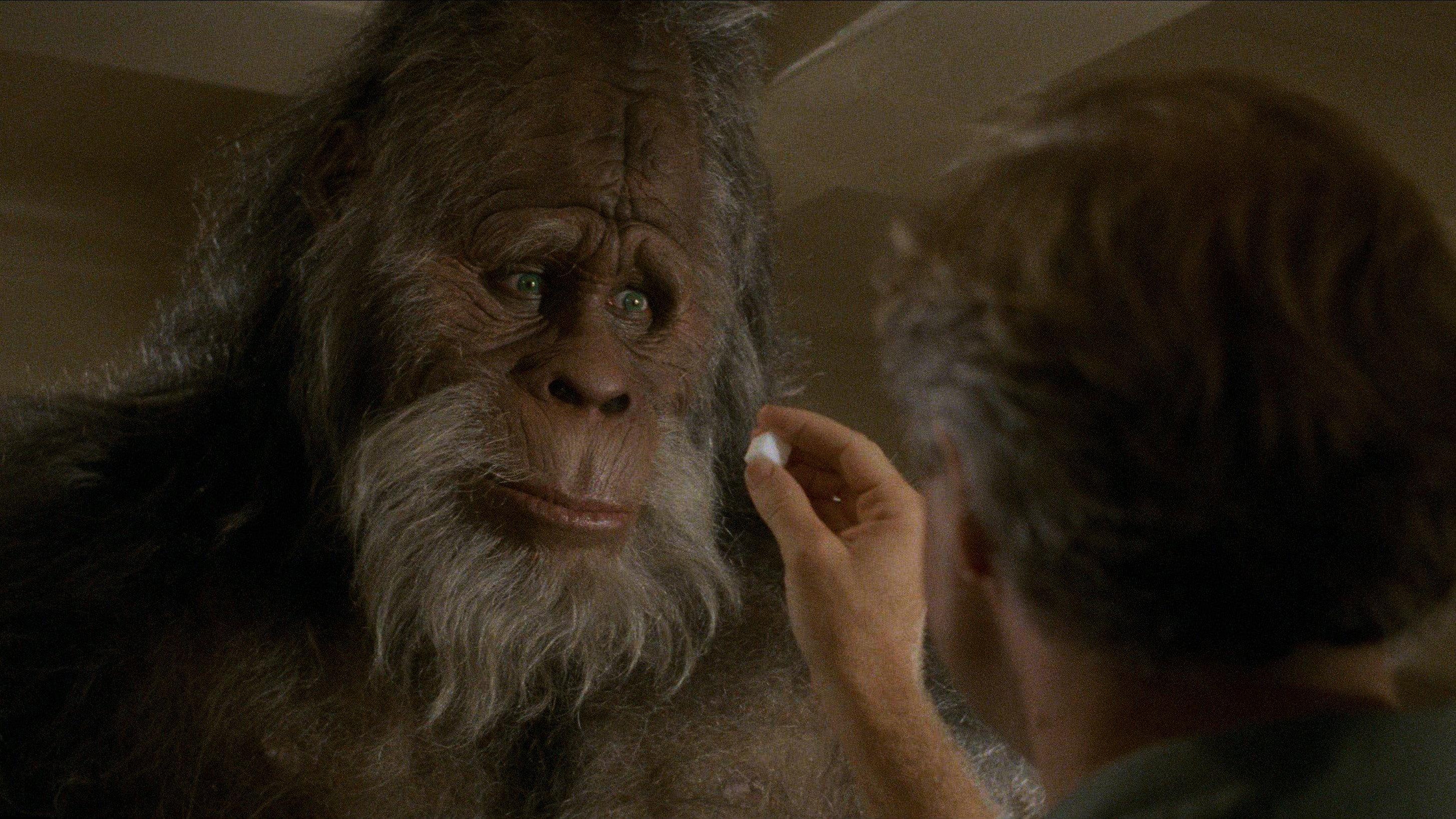 Harry and the Hendersons 1987 movie scene