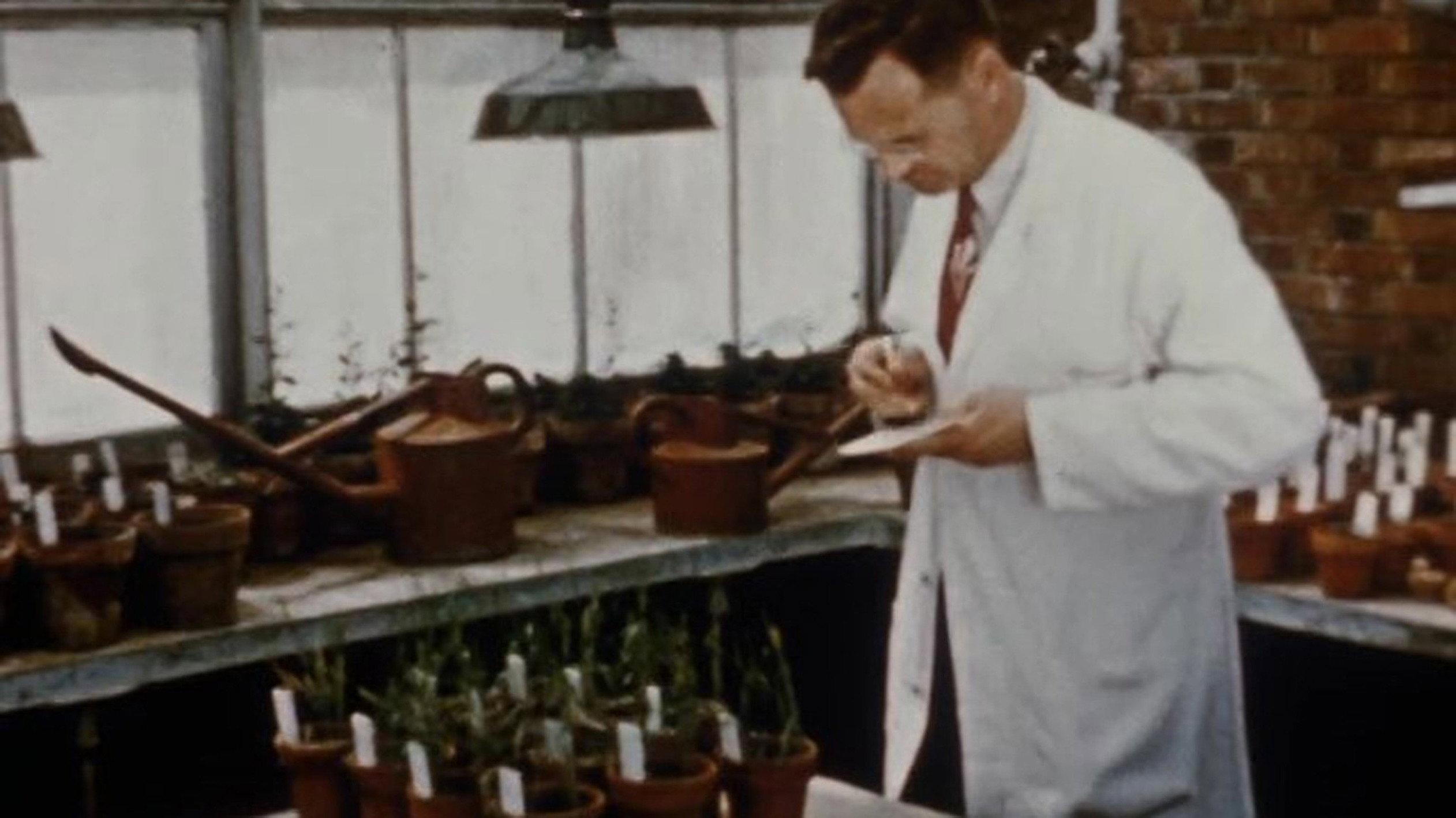 Man Against a Fungus 1955 movie scene