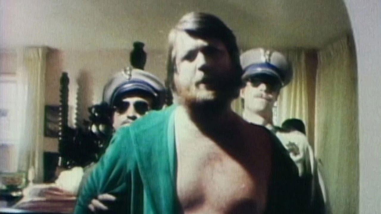 The Beach Boys: It's OK 1976 movie scene