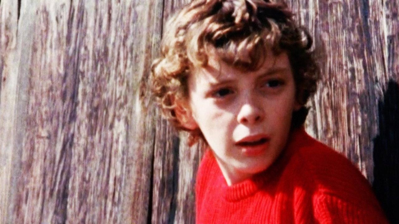 Terry on the Fence 1985 movie scene