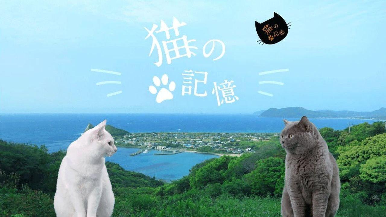 Itoshima Movie: Cat's Memory 2022 movie scene