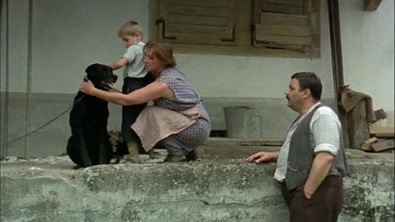 The Boat Is Full 1981 movie scene