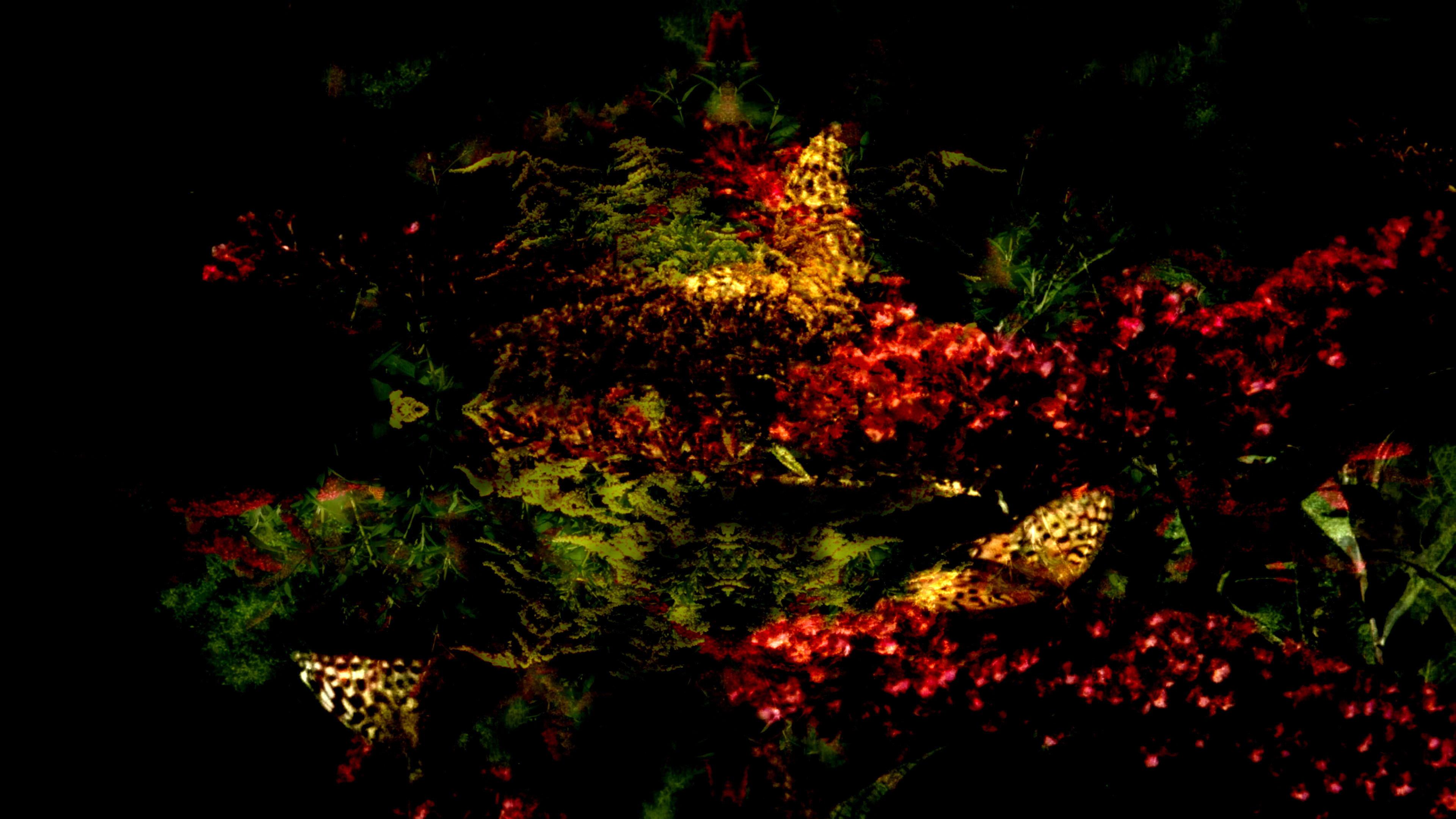 Butterfly 360° 2020 movie scene
