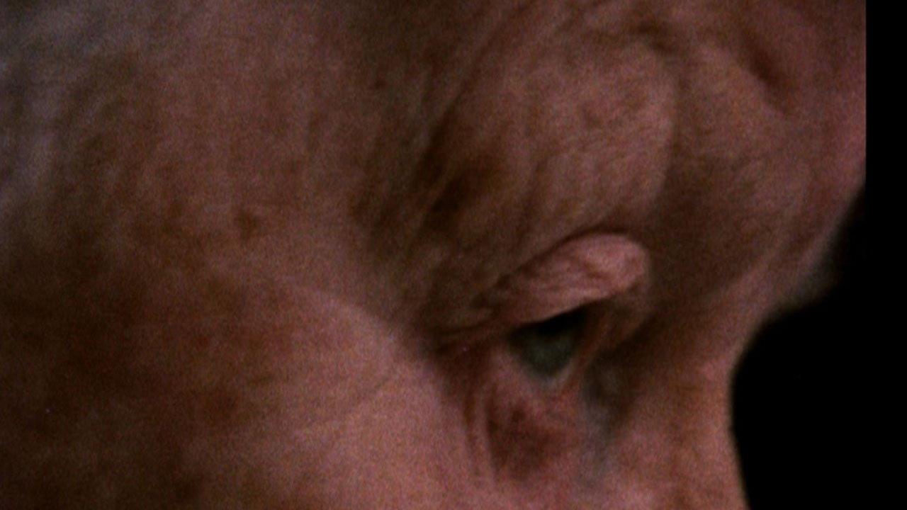 Amindas verden 1992 movie scene