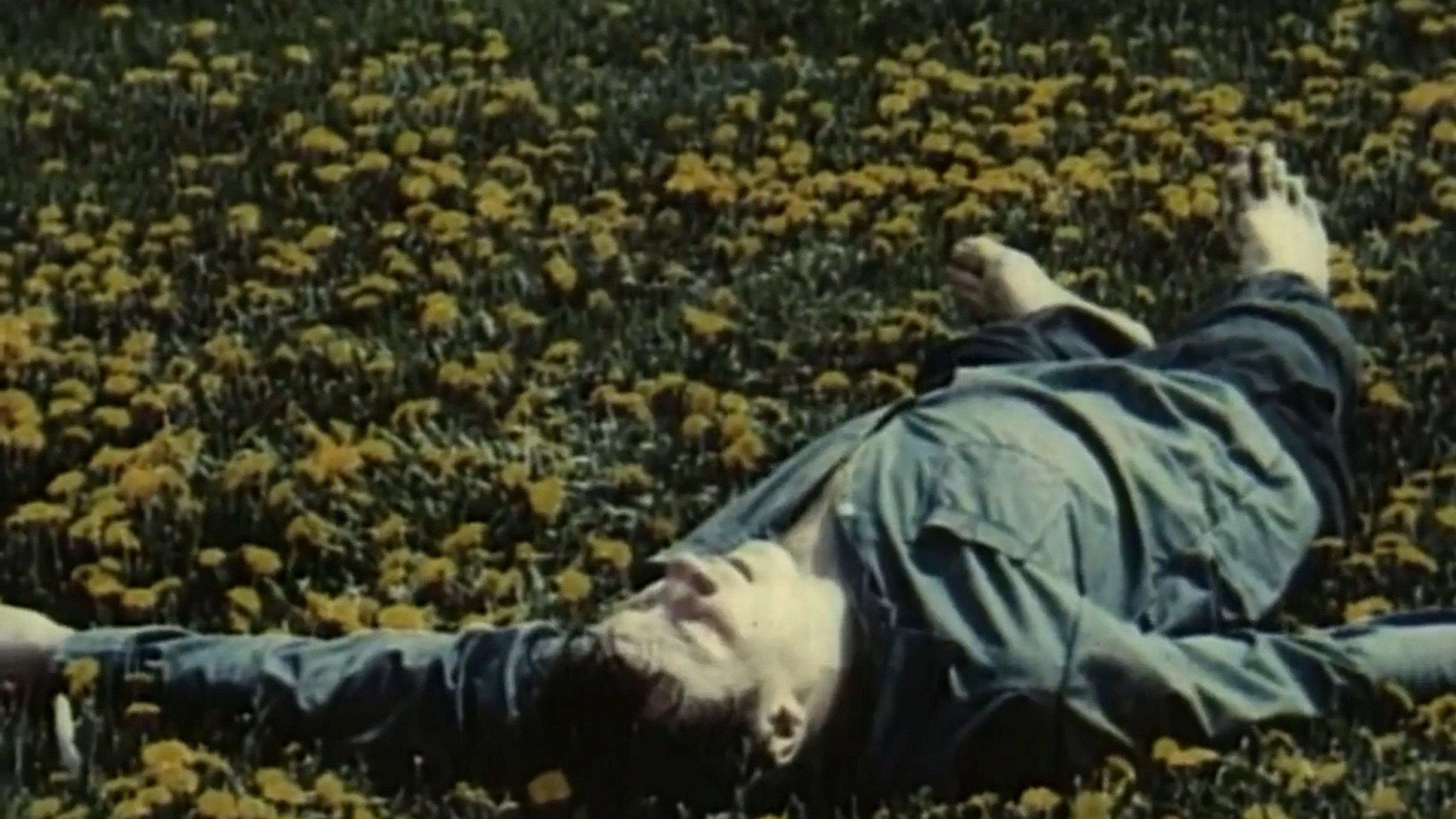 Dandelions' Bloom 1992 movie scene