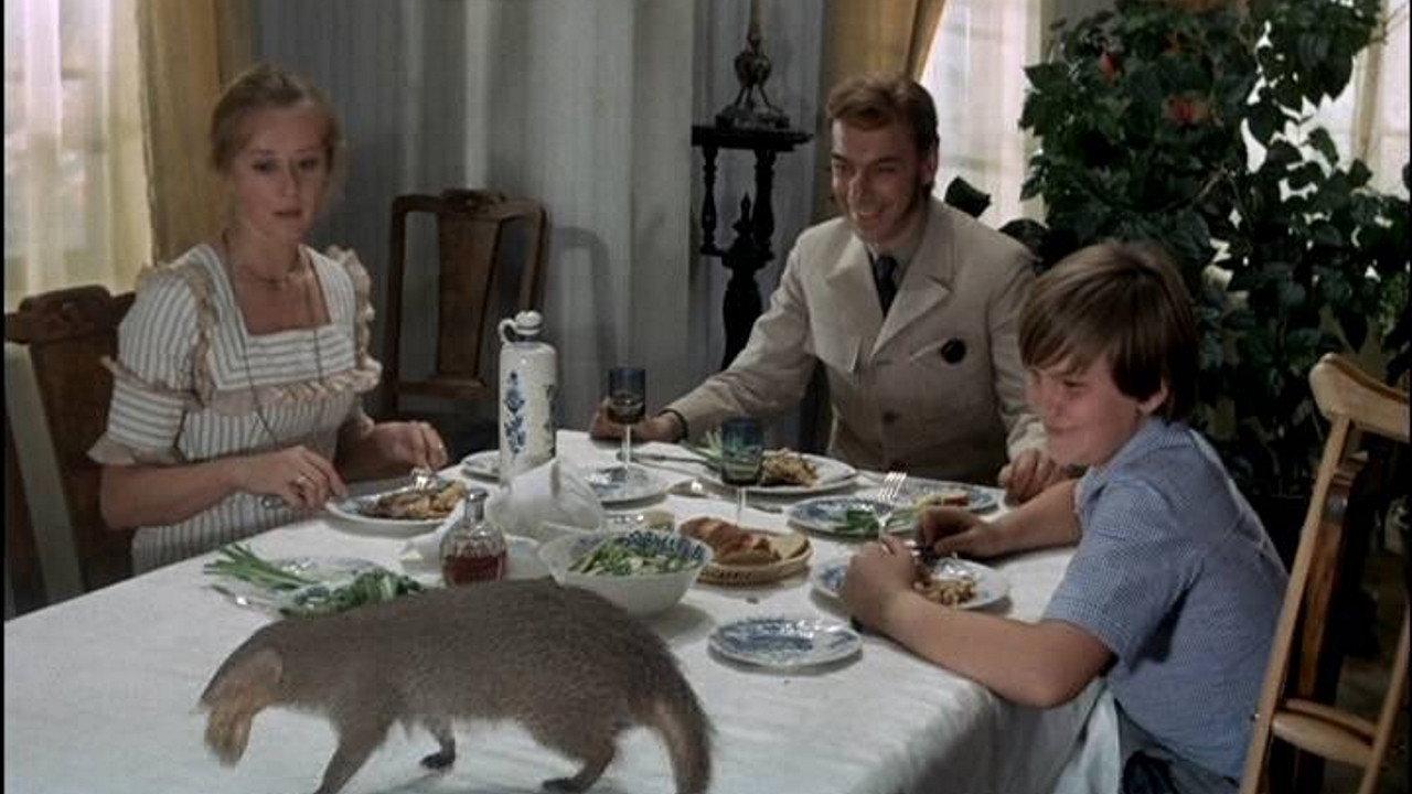 Rikki-Tikki-Tavi 1976 movie scene
