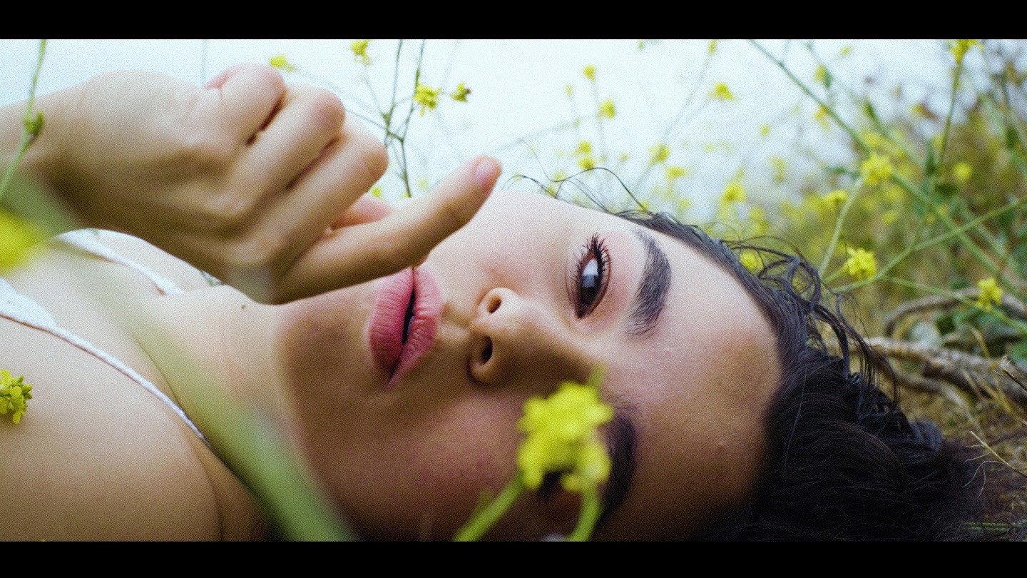 Petals  movie scene