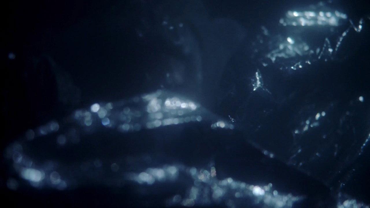 Humboldt 2024 movie scene