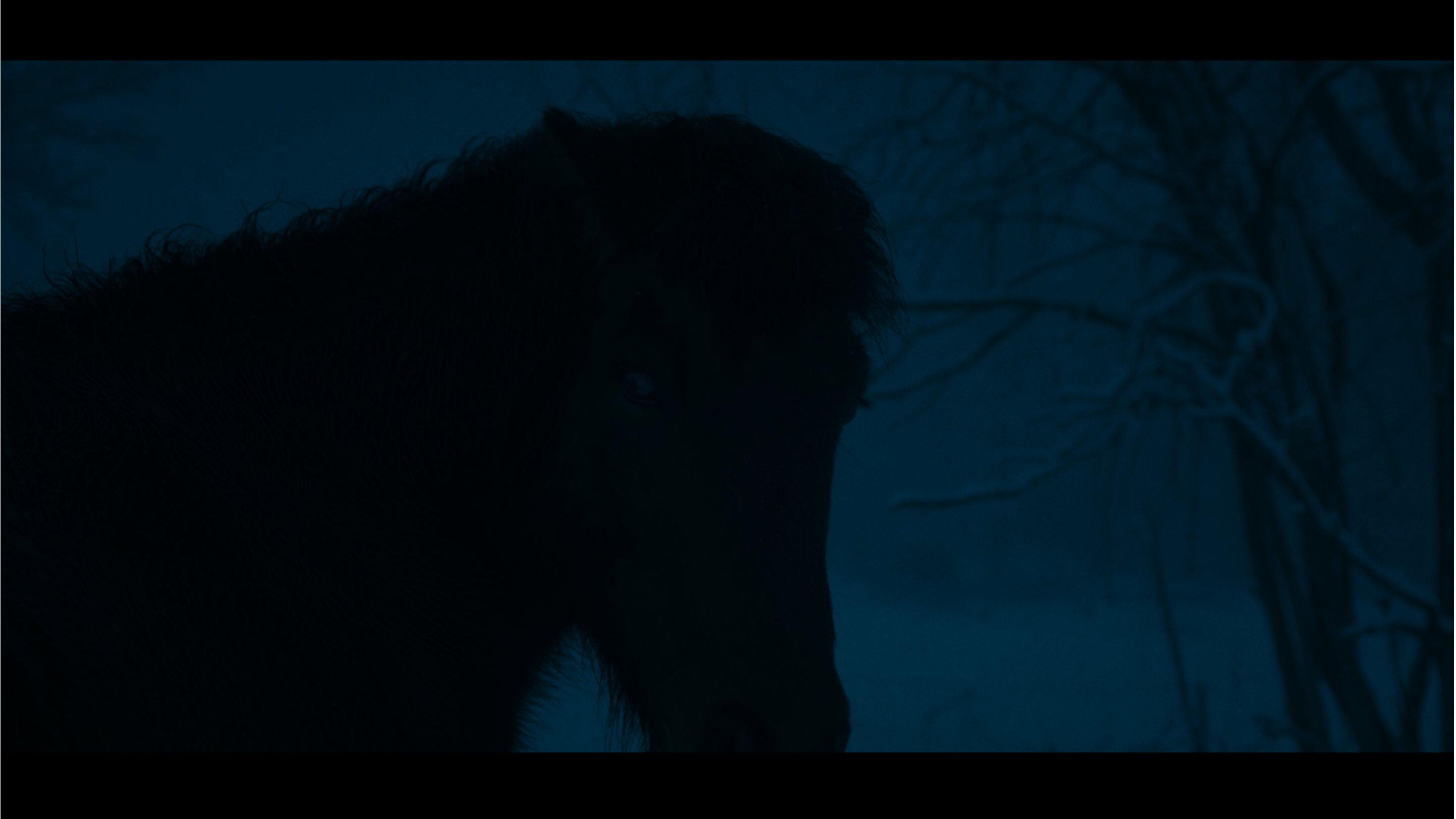 Kosmos 2022 movie scene