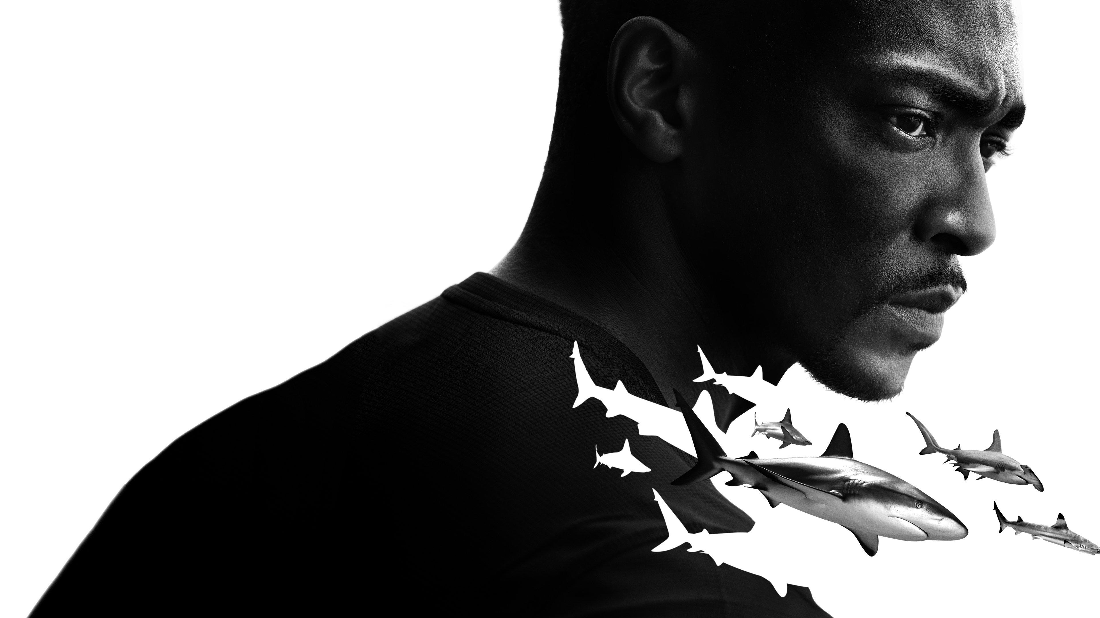 Shark Beach with Anthony Mackie 2024 movie scene