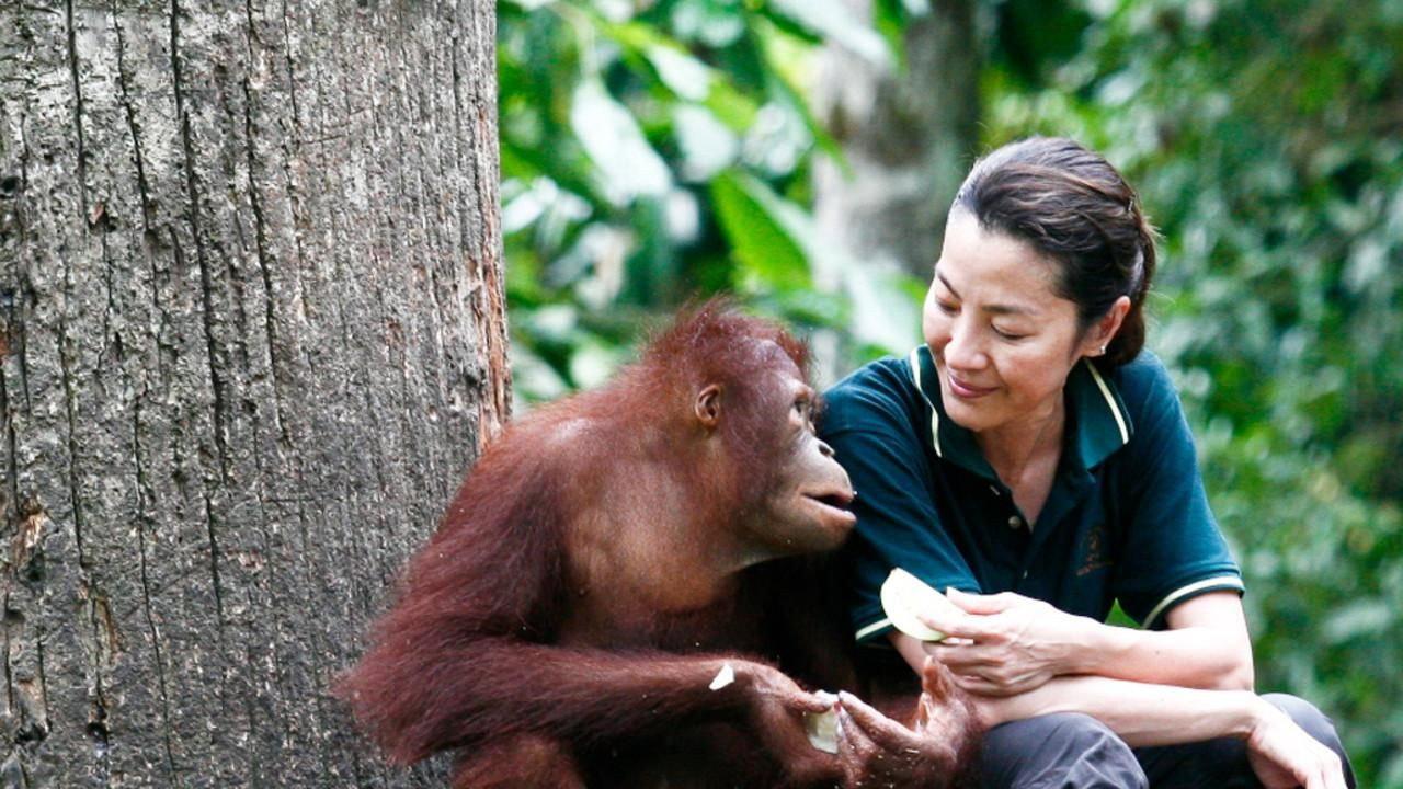 Among the Great Apes with Michelle Yeoh 2009 movie scene