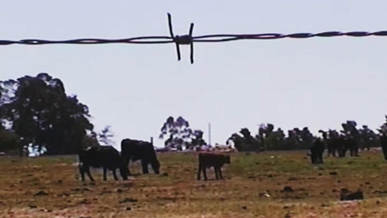 Nomade 2025 movie scene