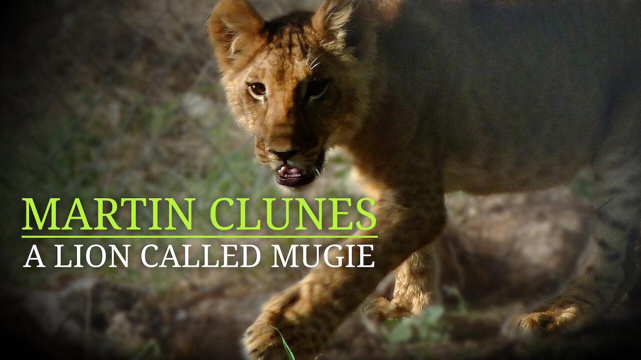 Martin Clunes & a Lion Called Mugie 2014 movie scene