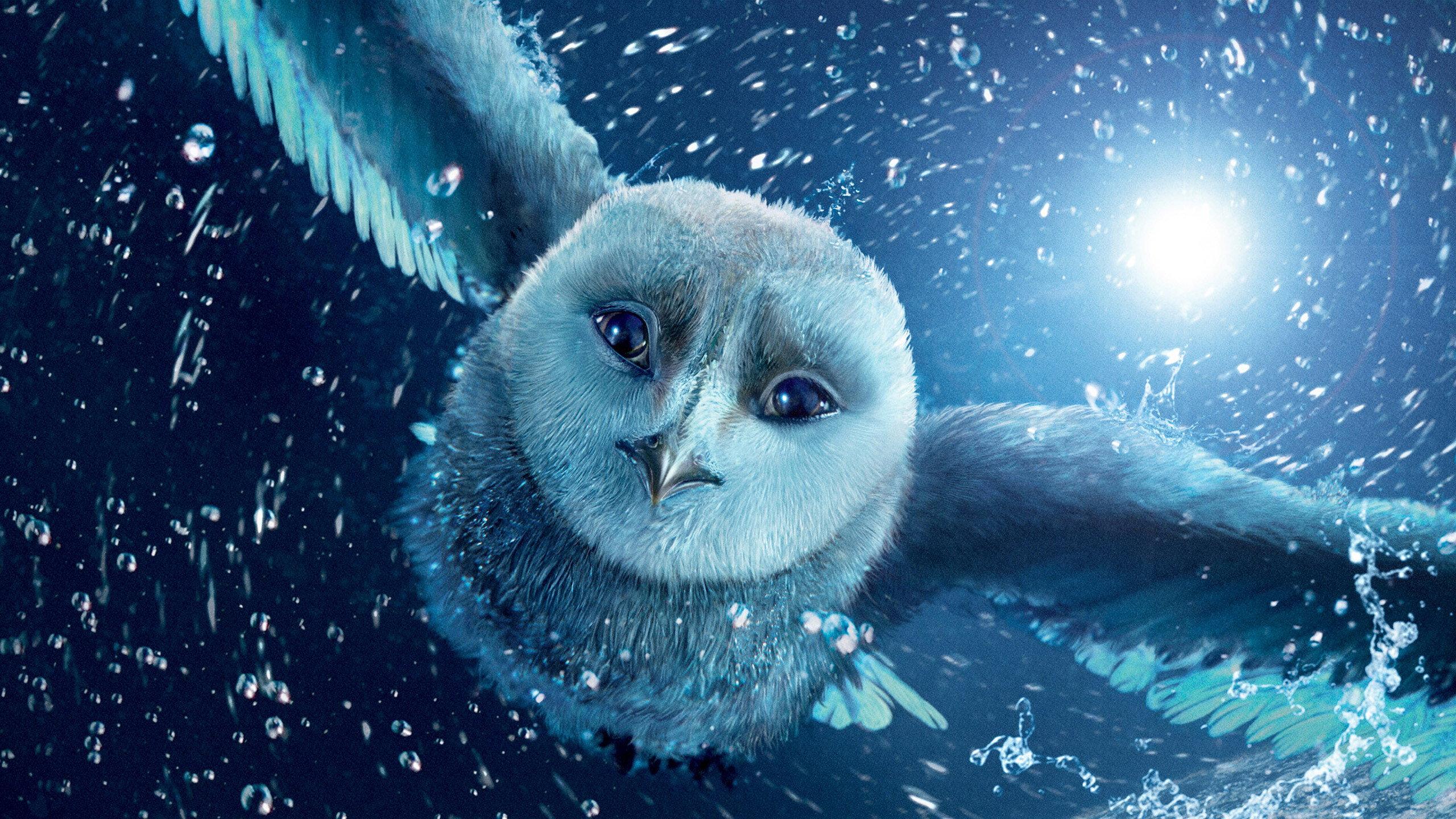 Legend of the Guardians: The Owls of Ga'Hoole 2010 movie scene