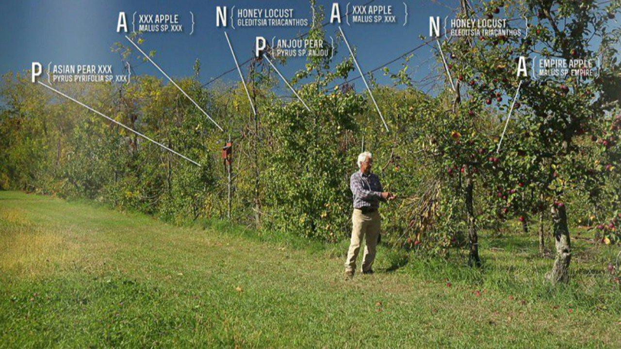 The Permaculture Orchard: Beyond Organic 2014 movie scene