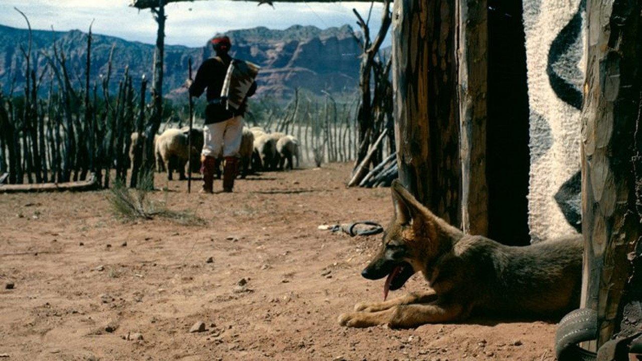 Concho, the Coyote Who Wasn't 1966 movie scene