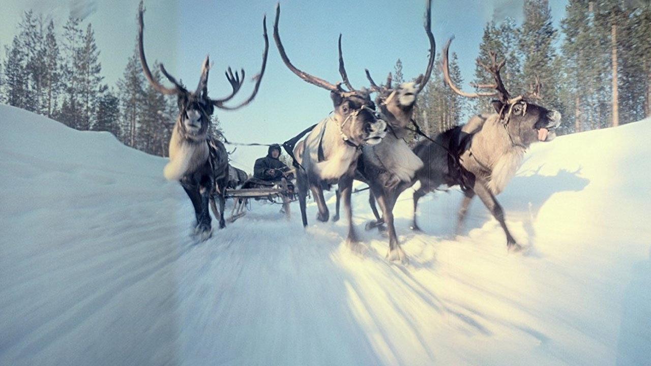 Cinerama's Russian Adventure 1966 movie scene