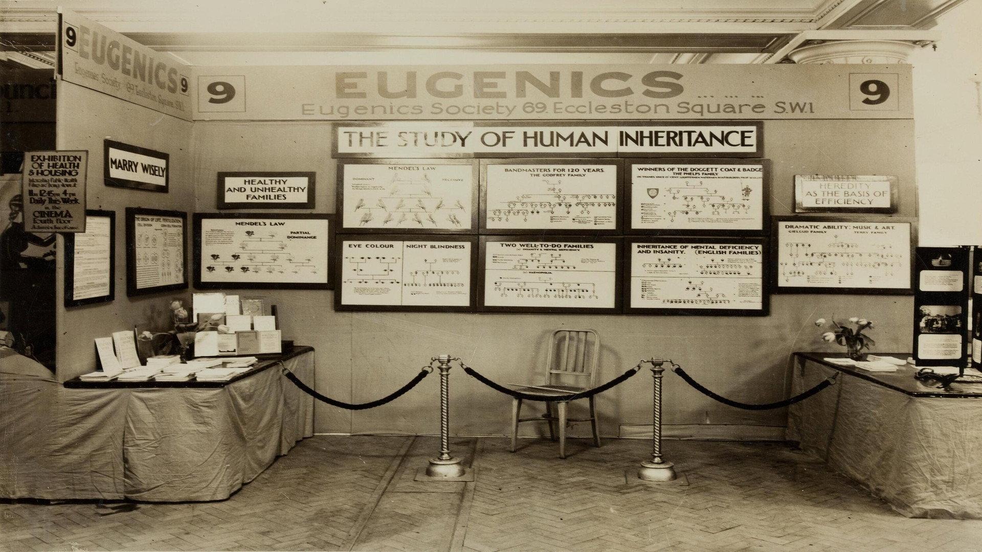 Global Eugenics: Using Medicine to Kill 2010 movie scene