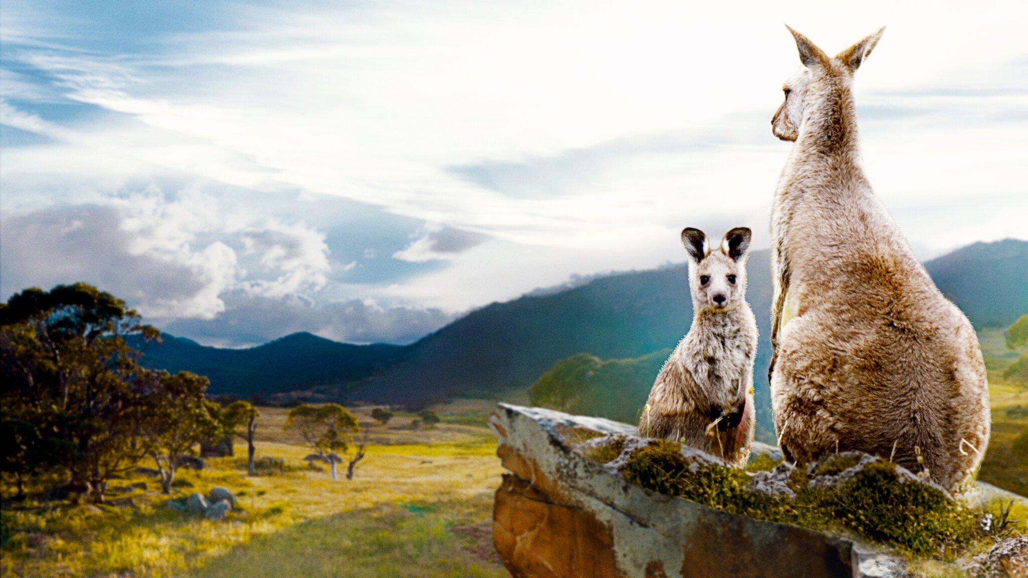 Kangaroo Valley 2022 movie scene