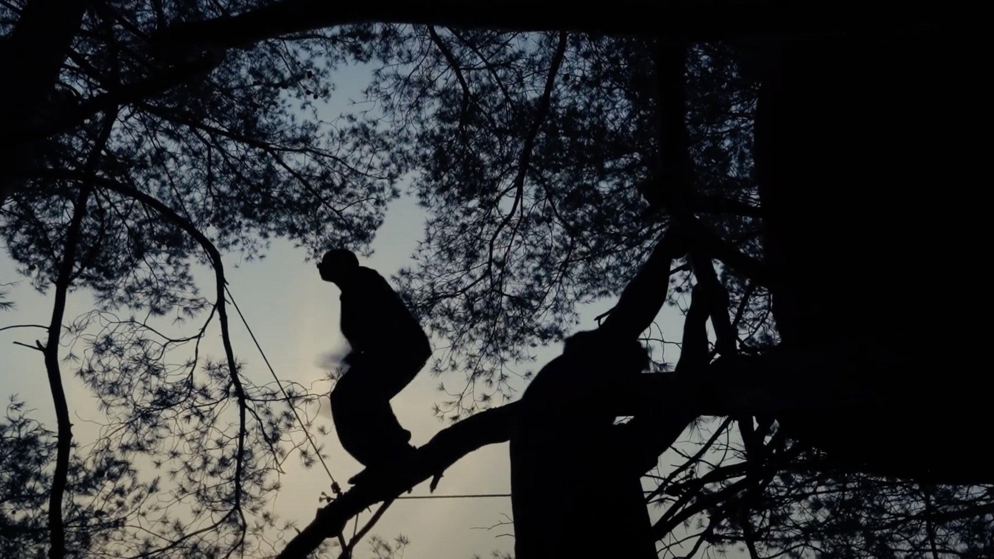 Traceurs des arbres 2025 movie scene