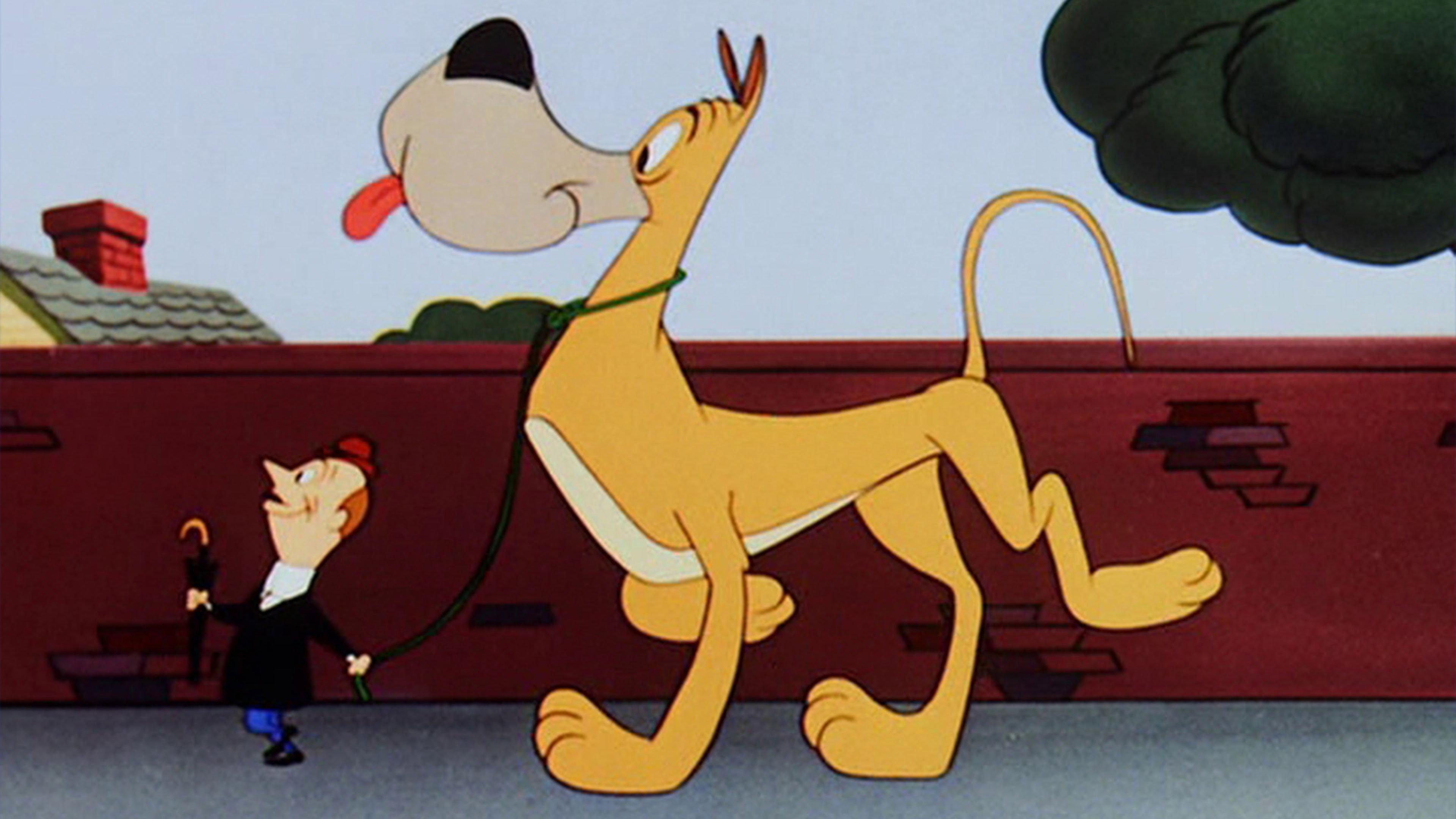 Dig That Dog 1954 movie scene