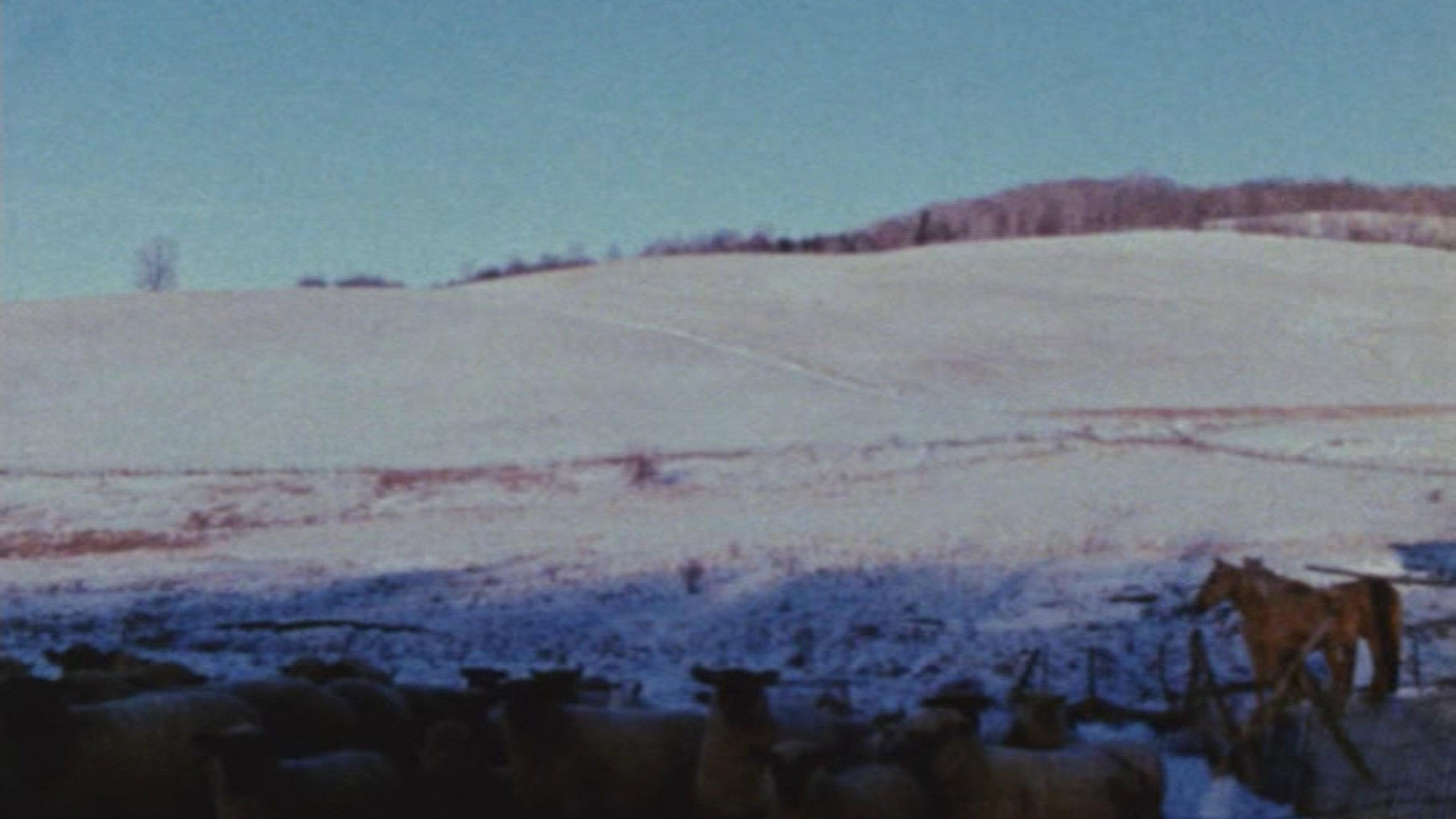 Horizons 1973 movie scene