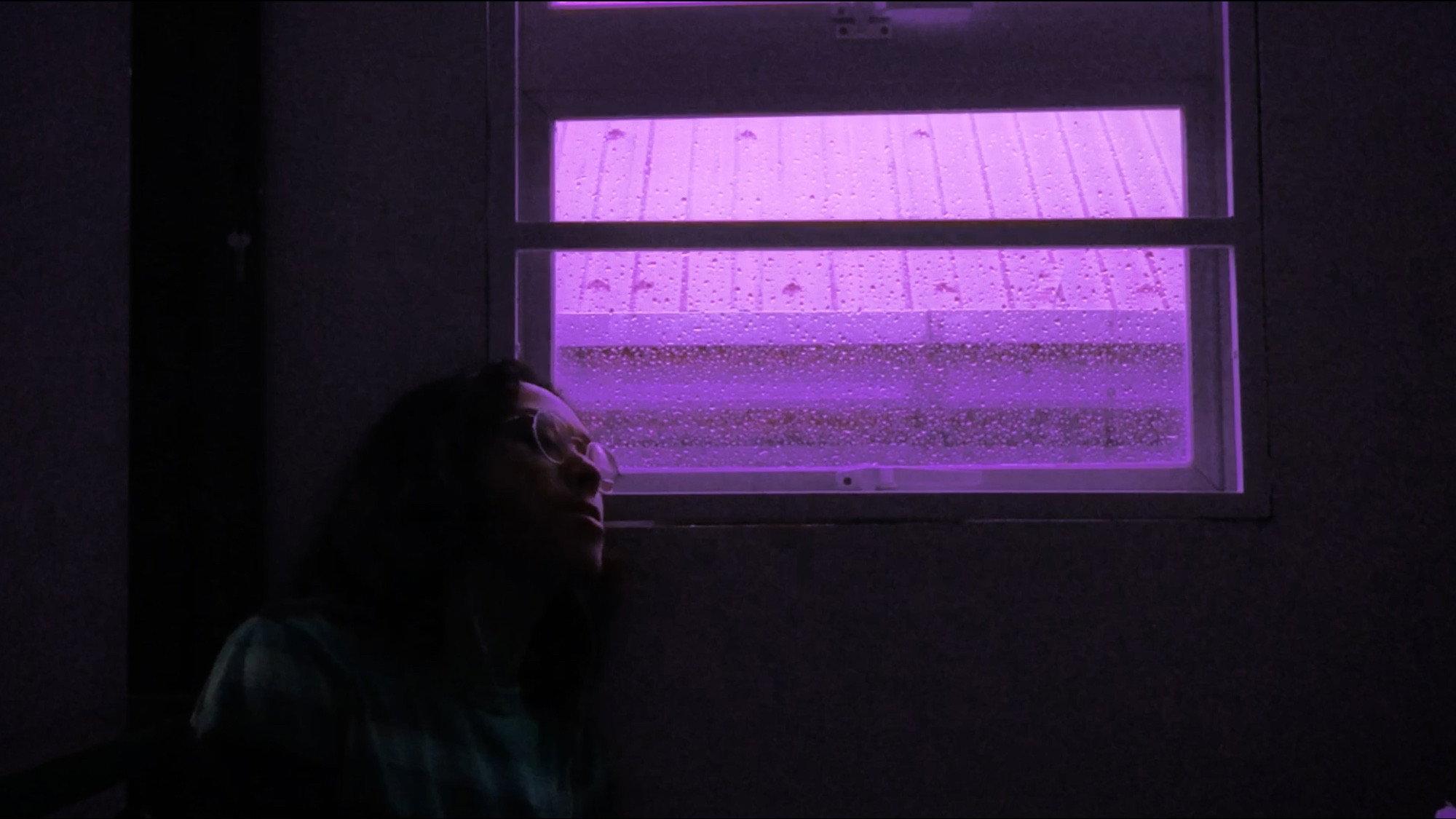Bottle Show 2022 movie scene