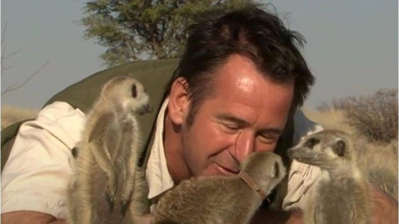 Meerkat Adventure 2003 movie scene