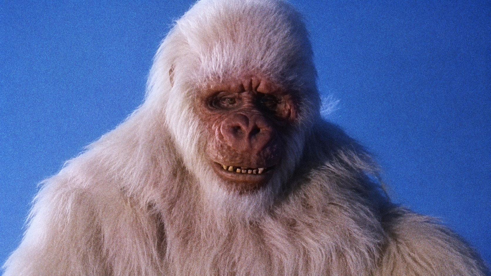 The Ivory Ape 1980 movie scene