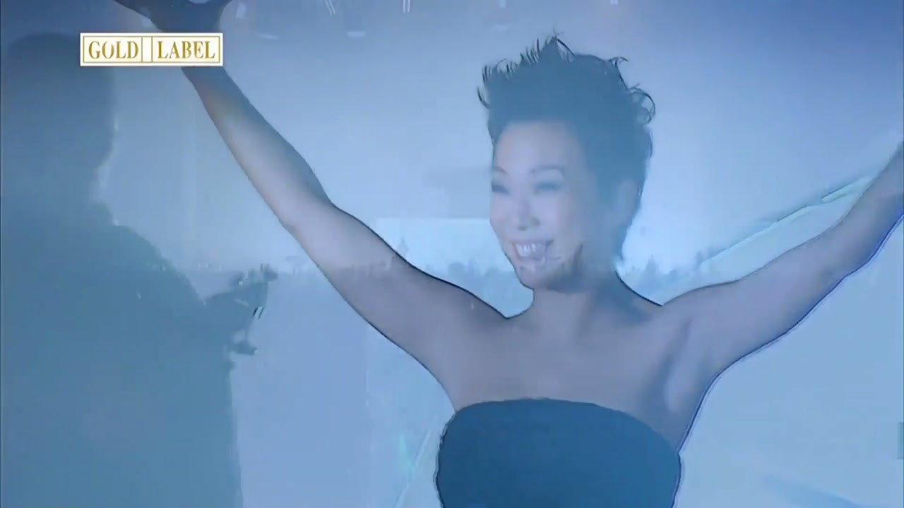 林忆莲Live07演唱会  movie scene