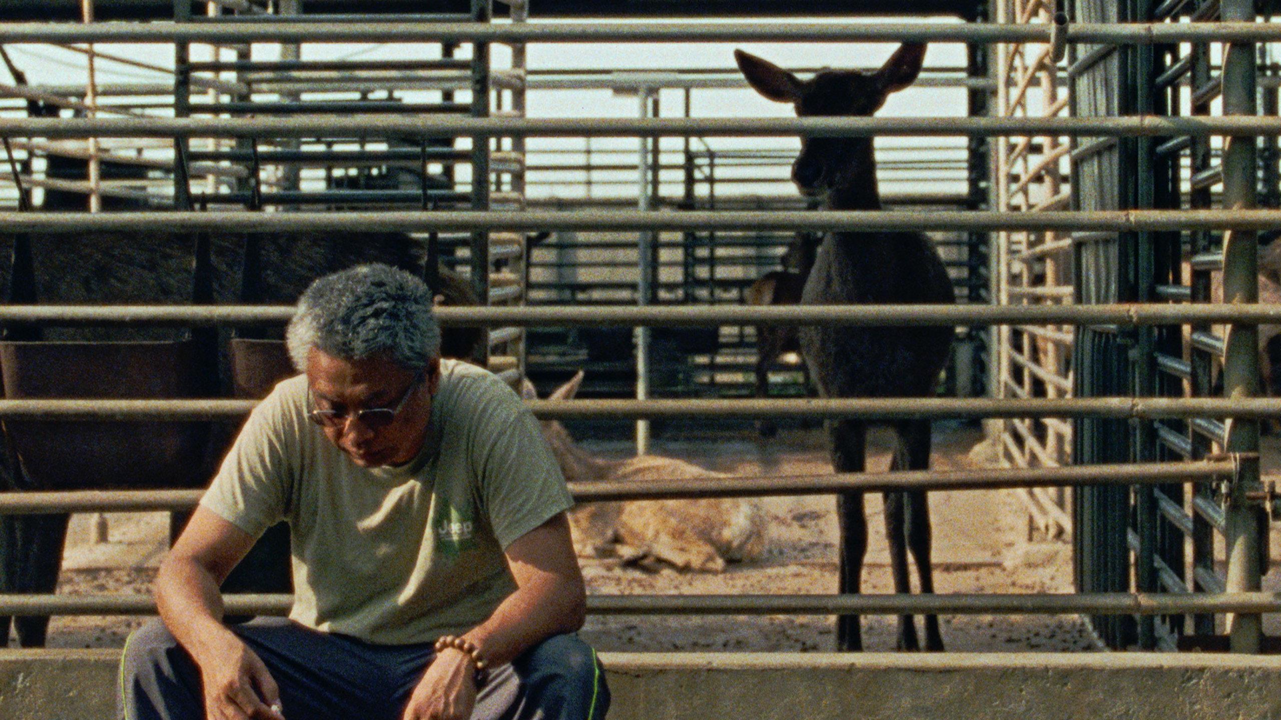 The Stag 2023 movie scene