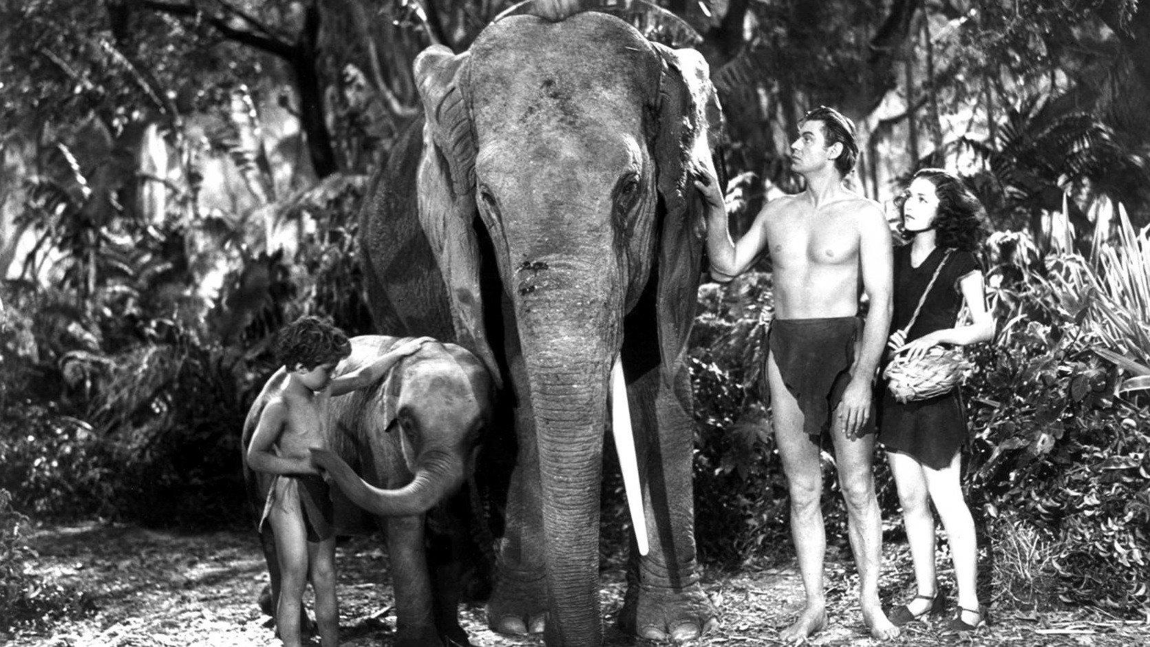 Tarzan Finds a Son! 1939 movie scene