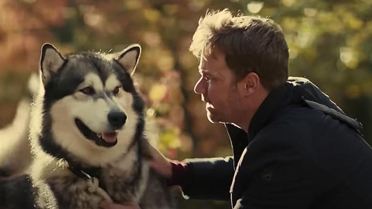 Hero Dog: The Journey Home 2021 movie scene