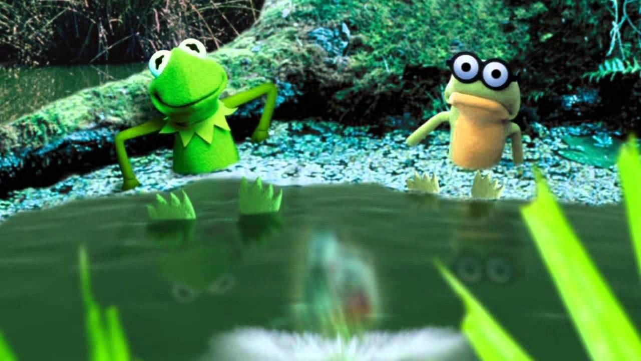 Kermit's Swamp Years 2002 movie scene