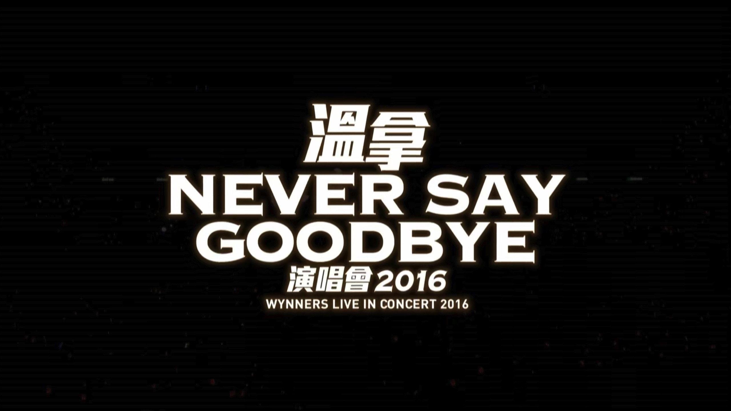 Never Say Goodbye - The Wynners Live In Concert 2016 2016 movie scene