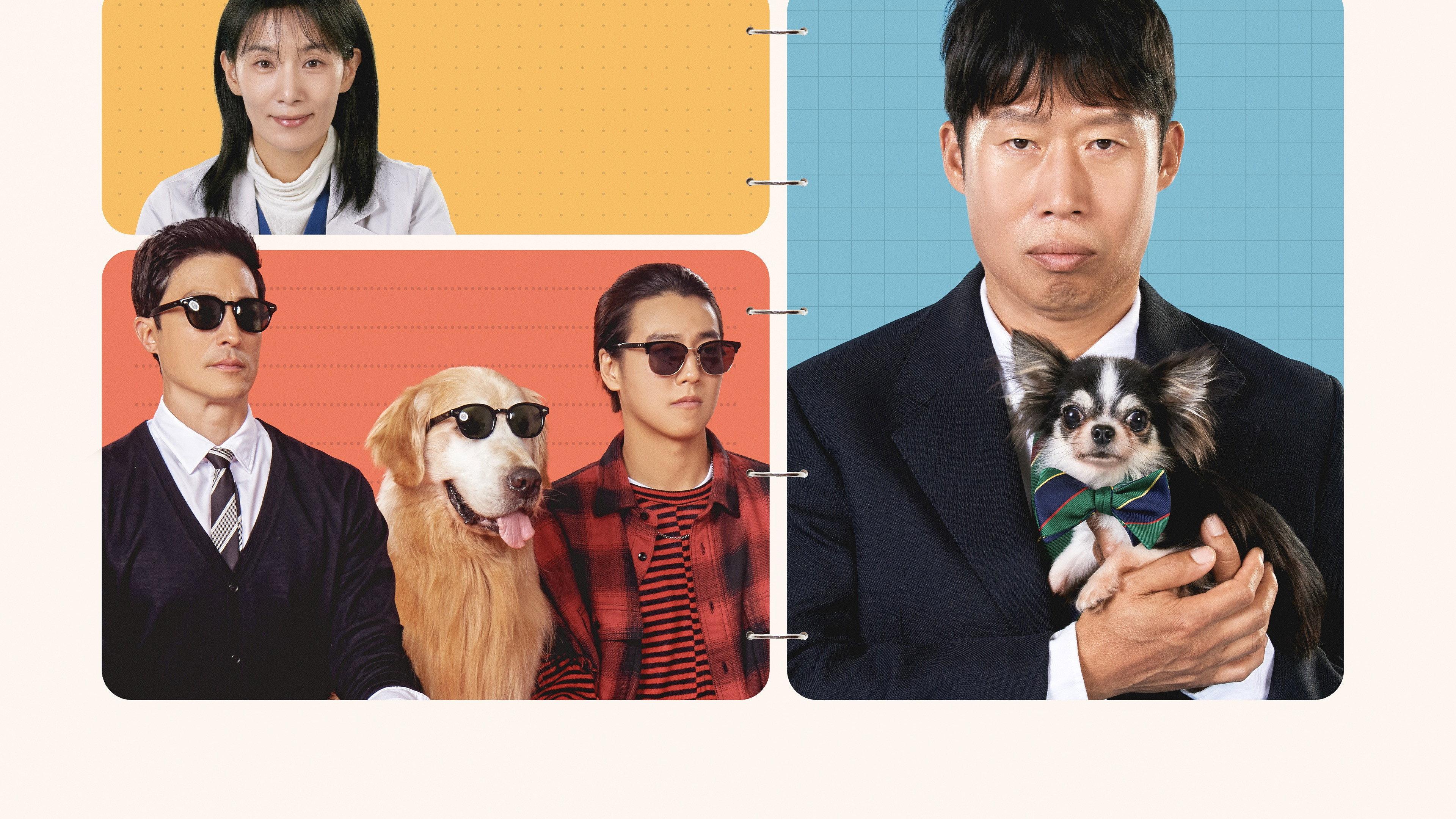 Dog Days 2024 movie scene