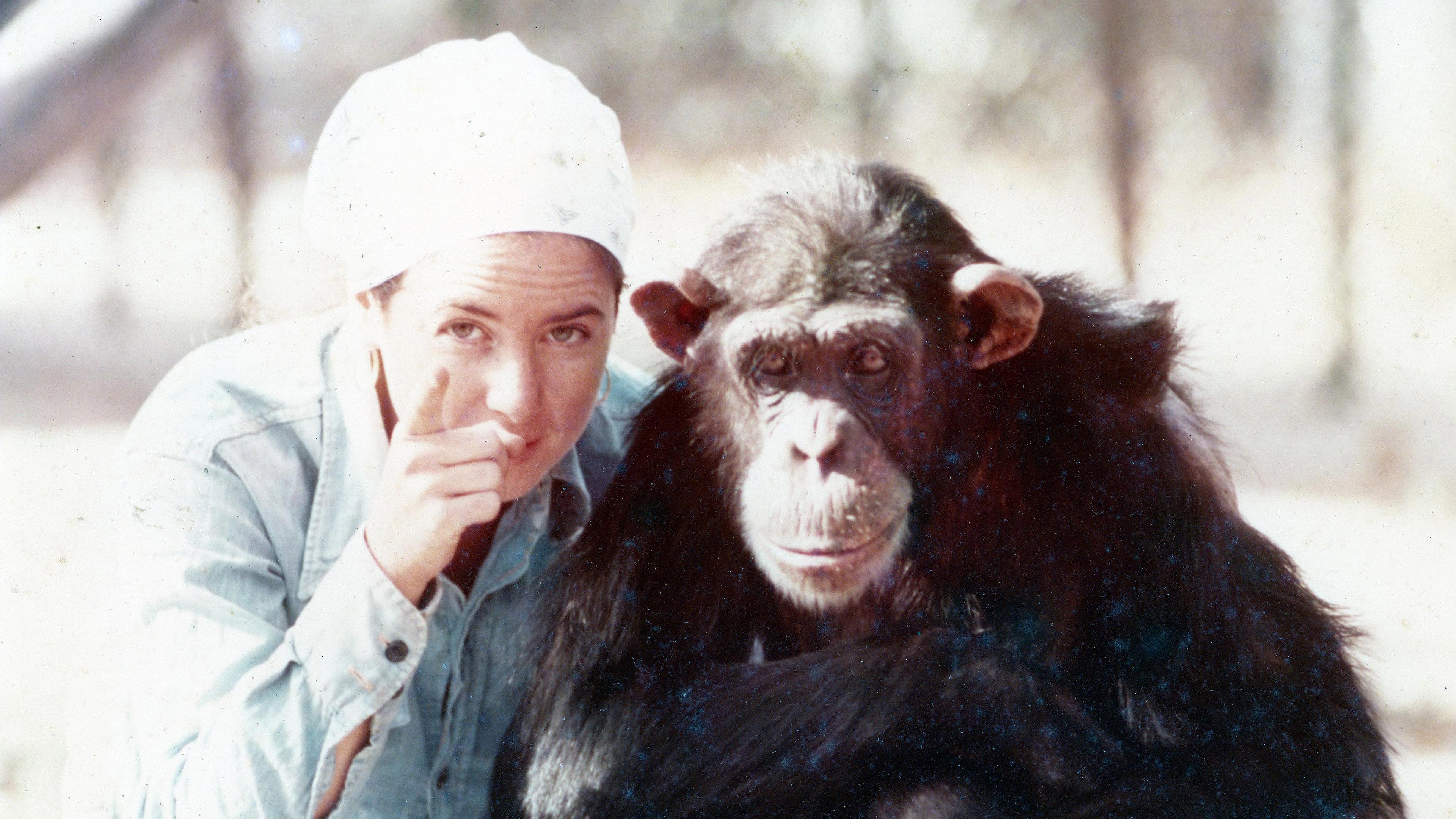 Lucy the Human Chimp 2021 movie scene