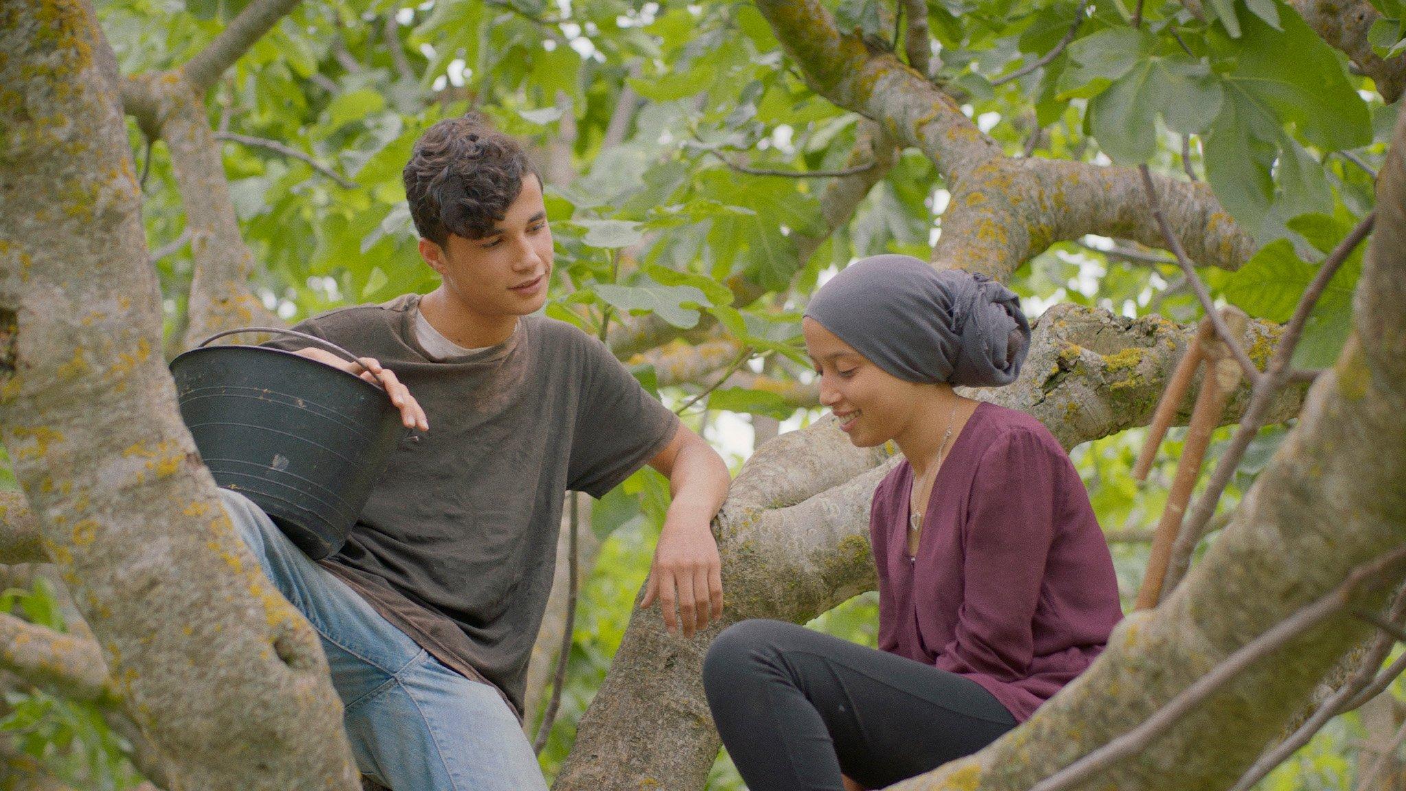 Under the Fig Trees 2022 movie scene