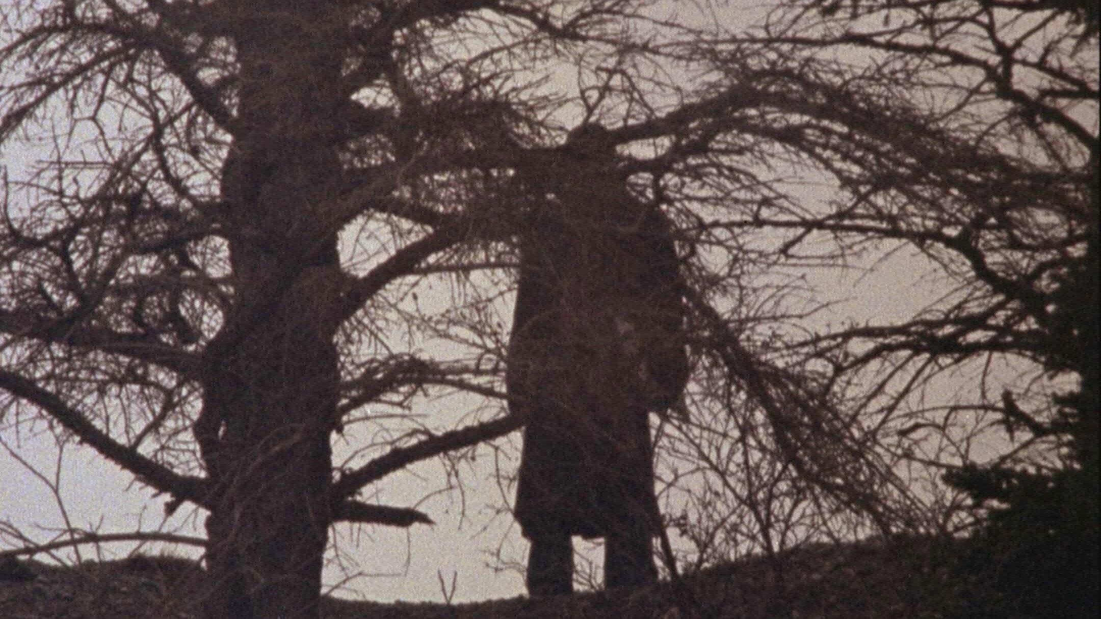 This Old Man 1975 movie scene