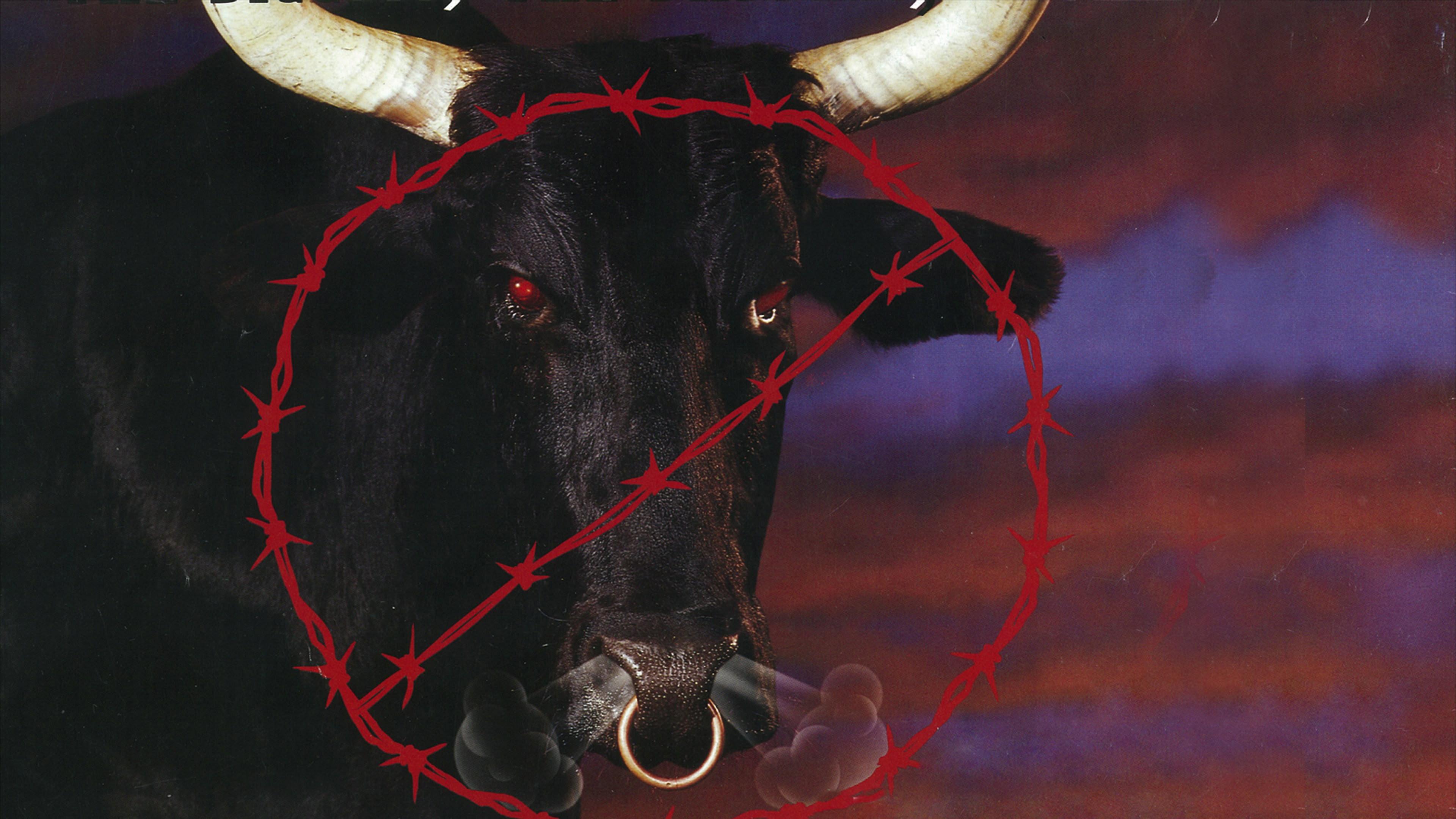 WCW Spring Stampede 1998 1998 movie scene