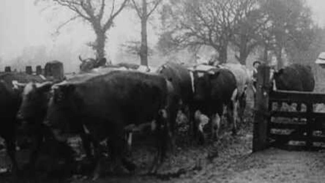 Women Farm Workers 1918 movie scene