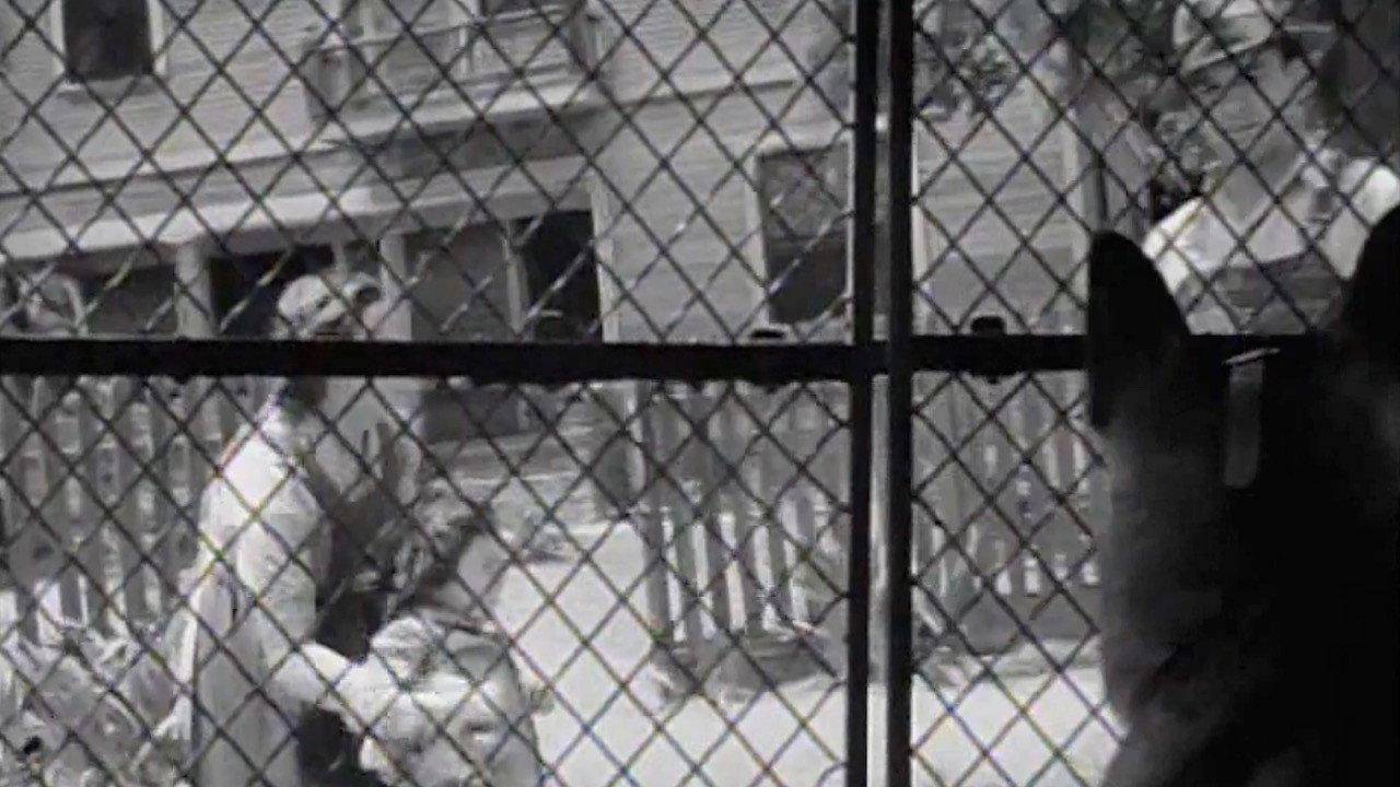 Killer Dog 1936 movie scene