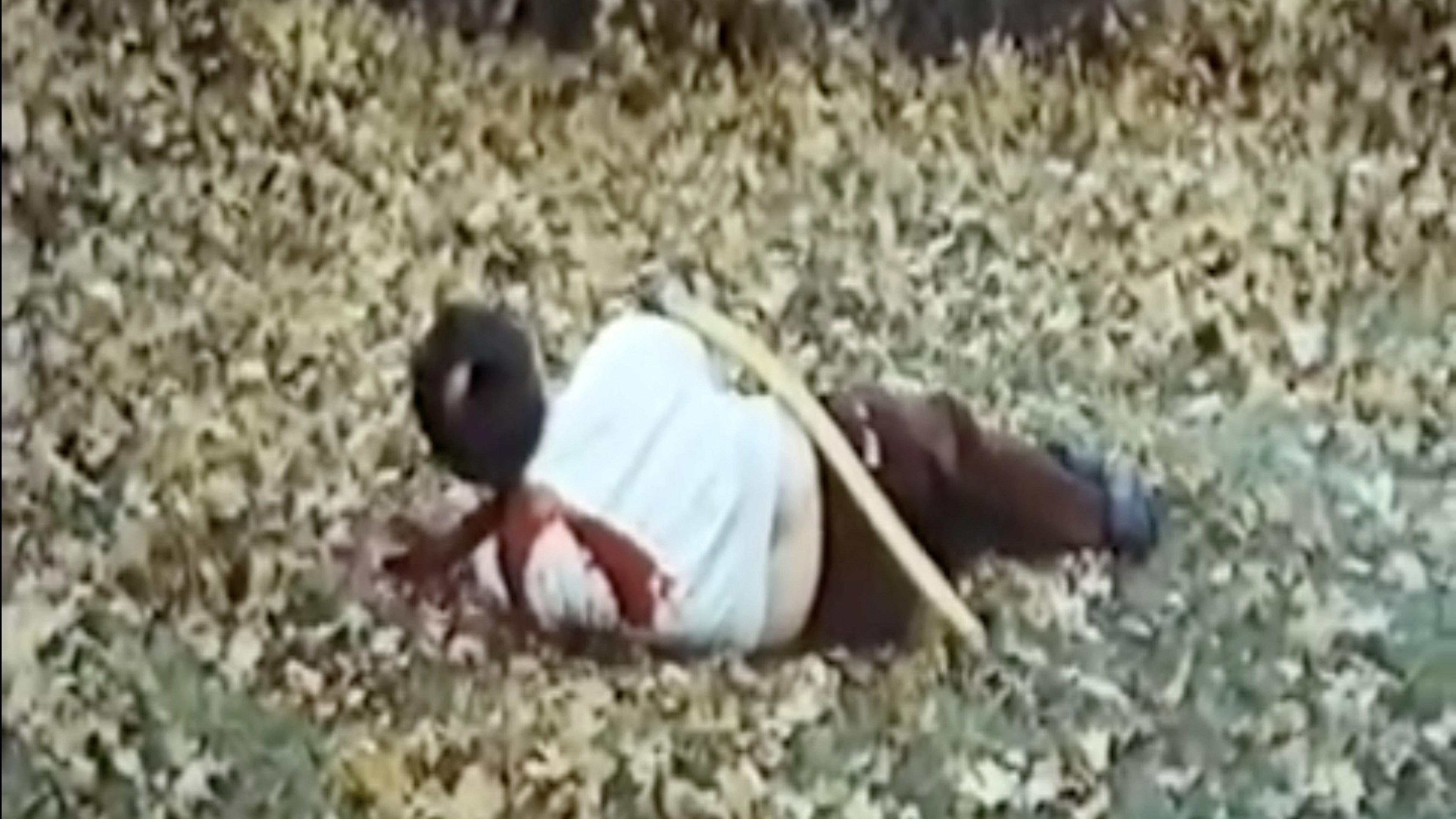 Shadows of the Mind 1979 movie scene