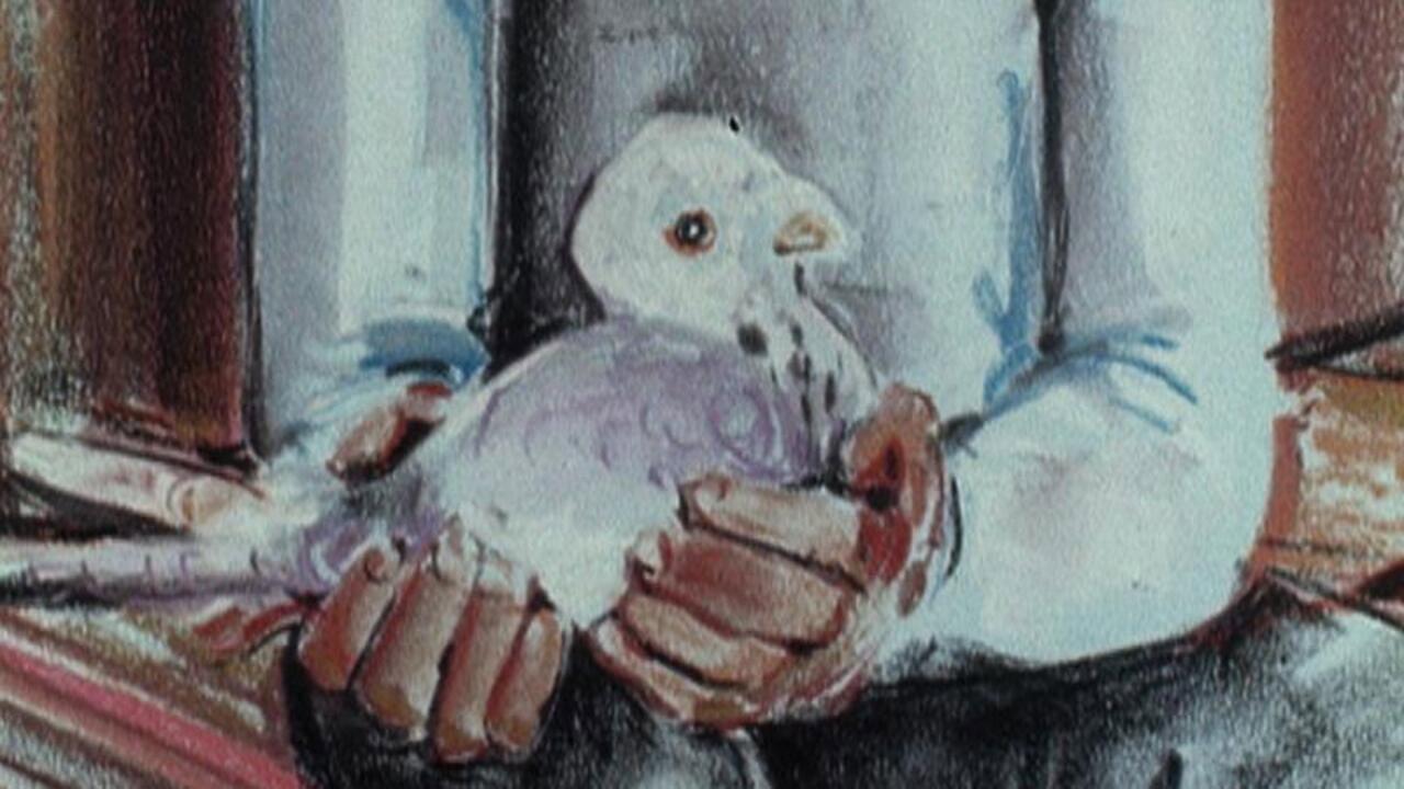 The Pigeon Cree 1986 movie scene