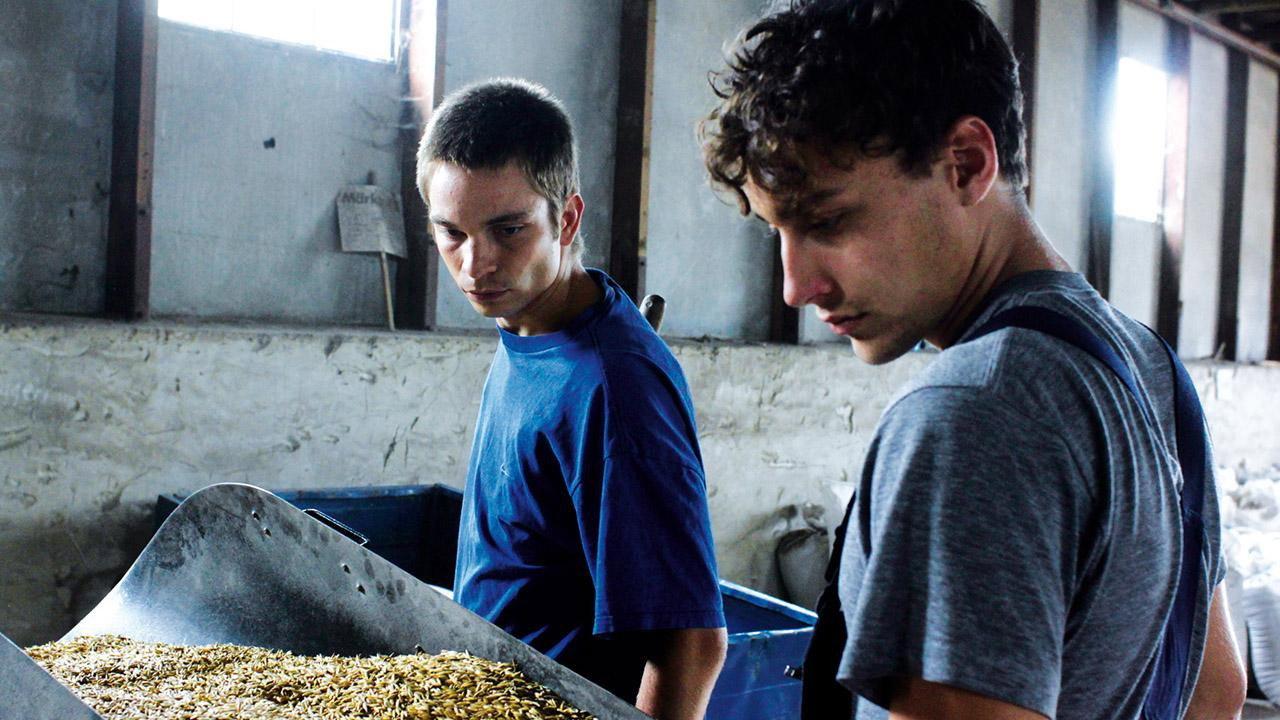 Harvest 2011 movie scene