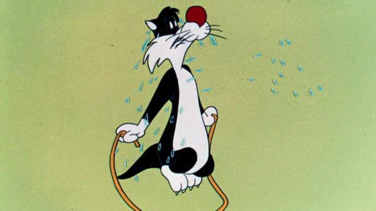 Hop, Look and Listen 1948 movie scene
