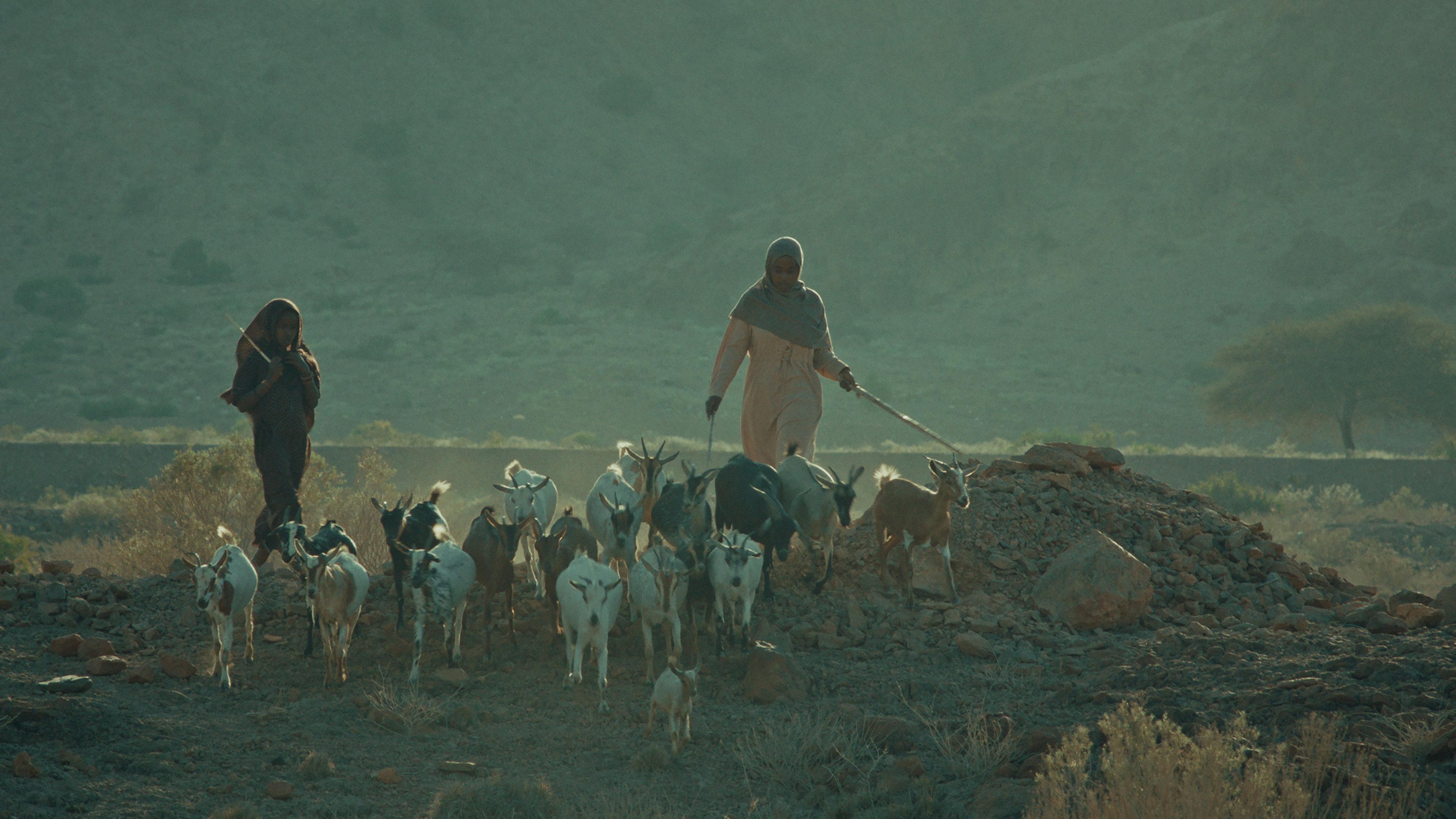 Barni 2025 movie scene