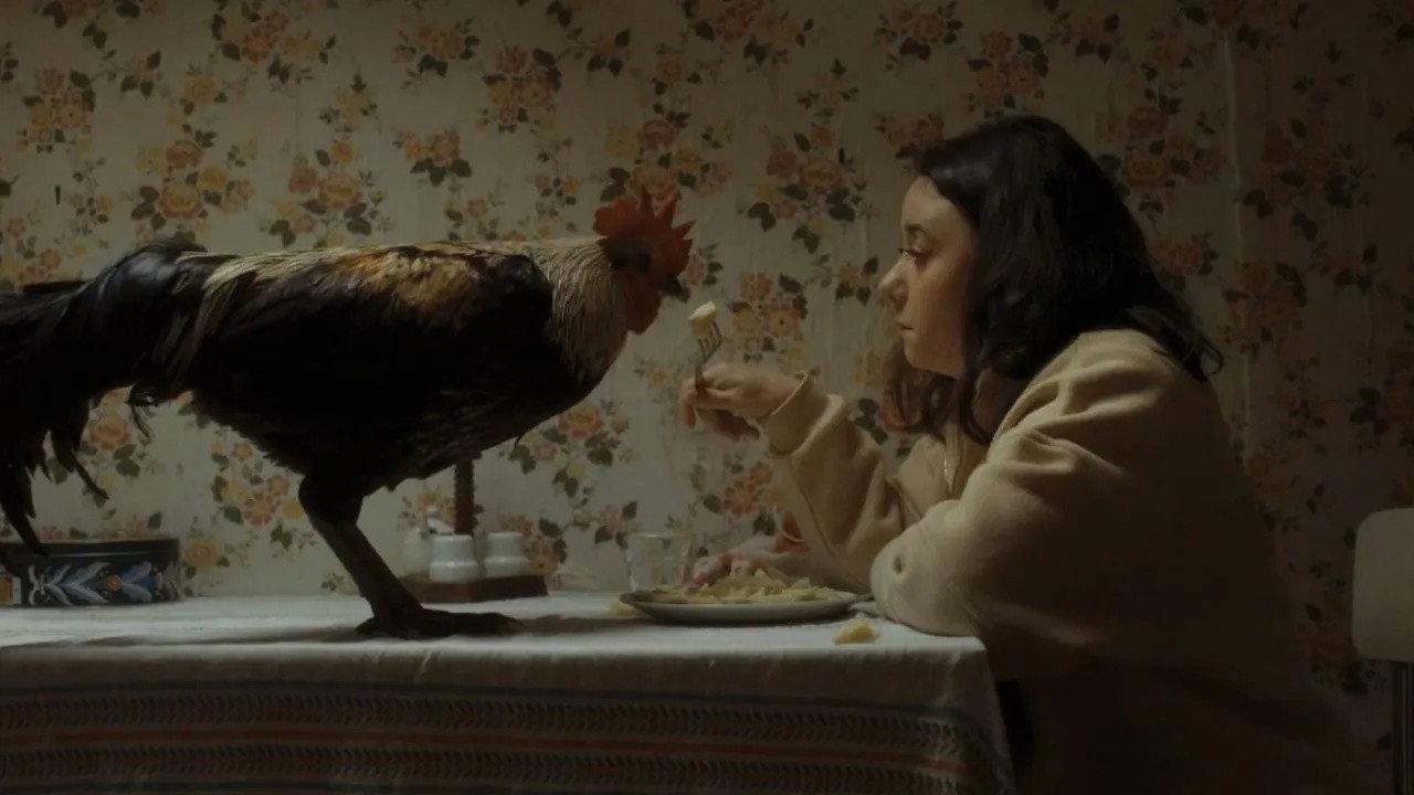 Beaks 2024 movie scene